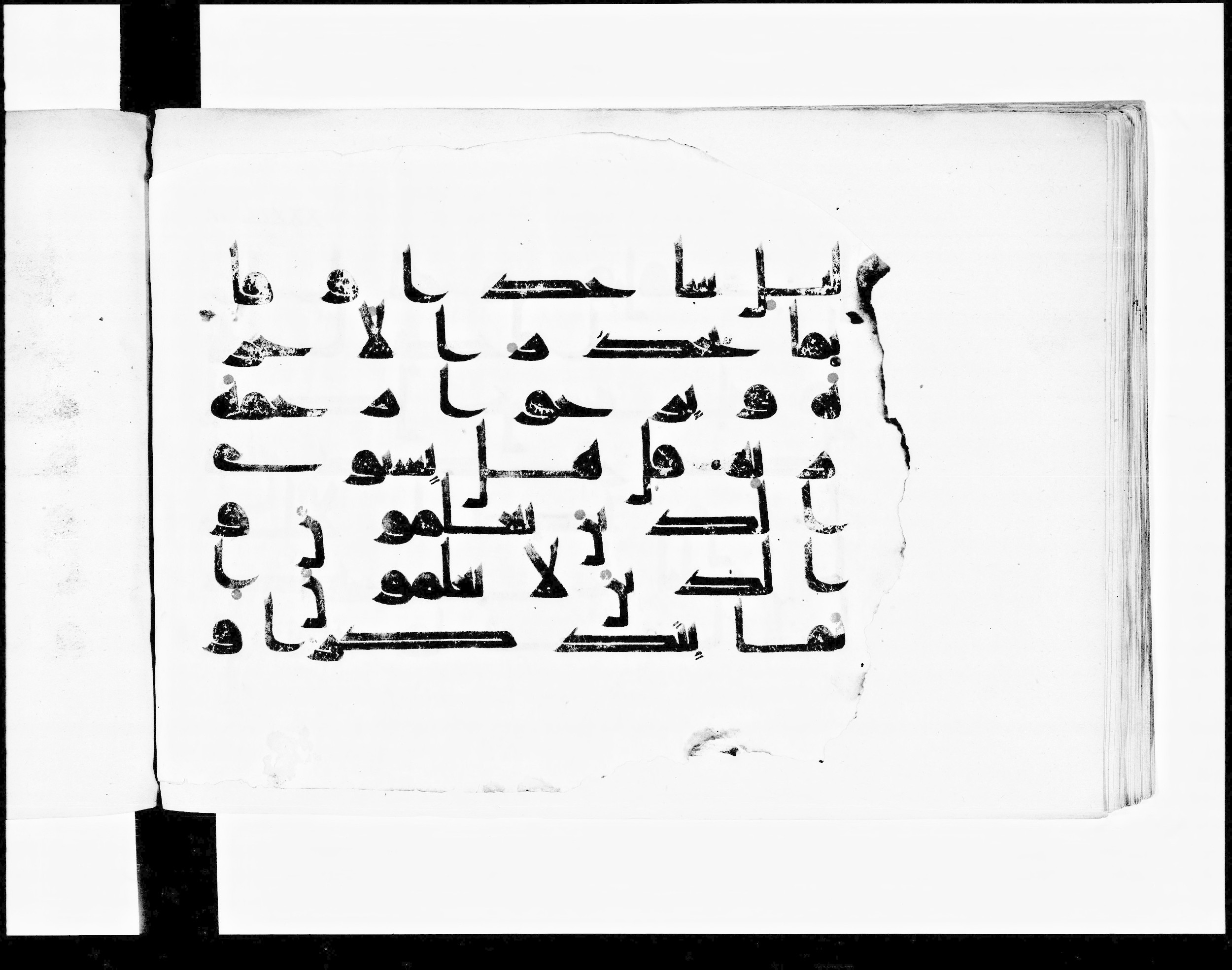 Paris, Bibliothèque nationale de France, Arabe 348 (b) (Scan 2), in Kūfī D.I script, showing Surah 39:9 from 8th to 9th Century AD found in Fustat (Old Cairo), Egypt, currently housed at Bibliothèque nationale de France, Paris
