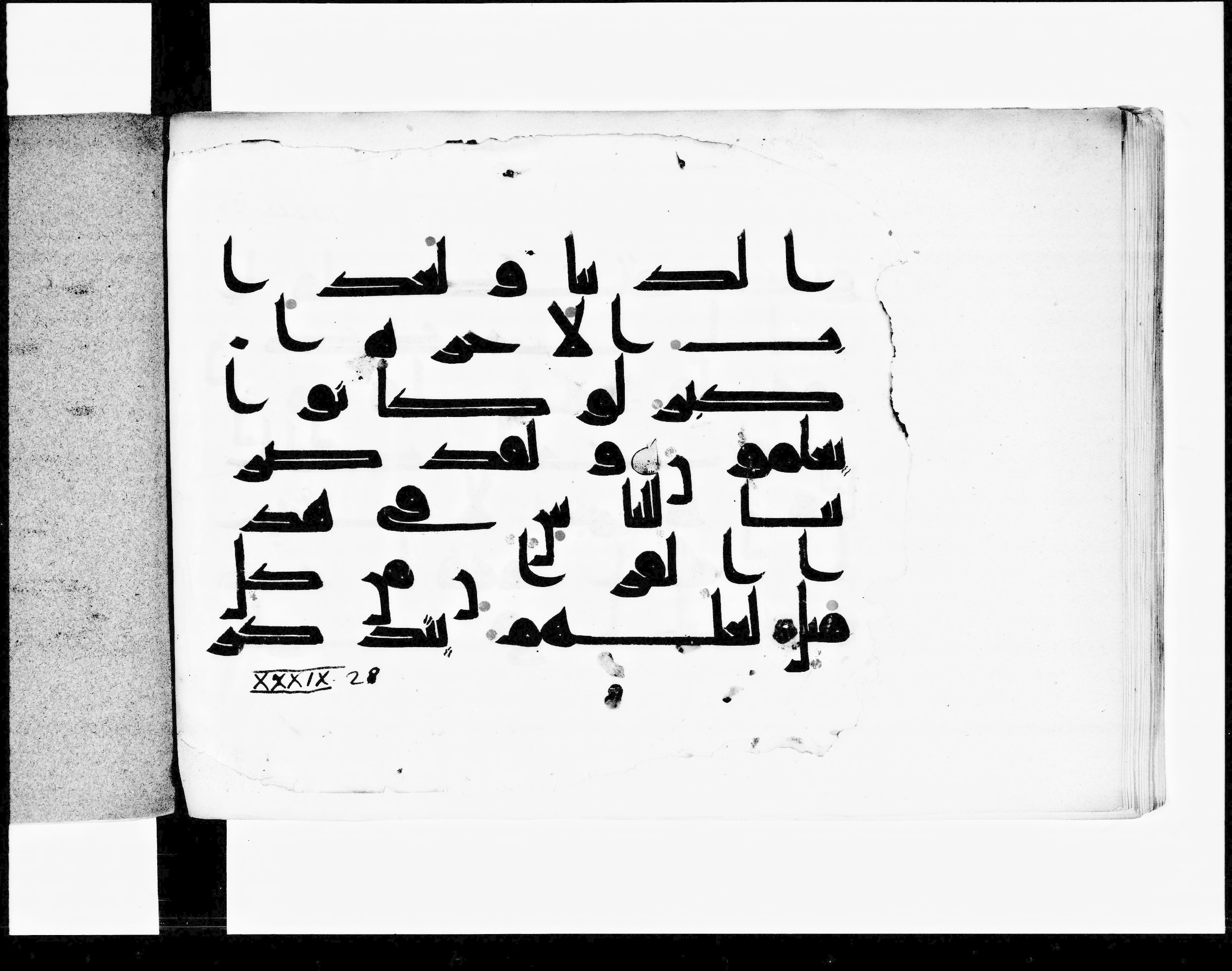 Paris, Bibliothèque nationale de France, Arabe 348 (b), in Kūfī D.I script, showing Surah 39:27 from 8th to 9th Century AD found in Fustat (Old Cairo), Egypt, currently housed at Bibliothèque nationale de France, Paris