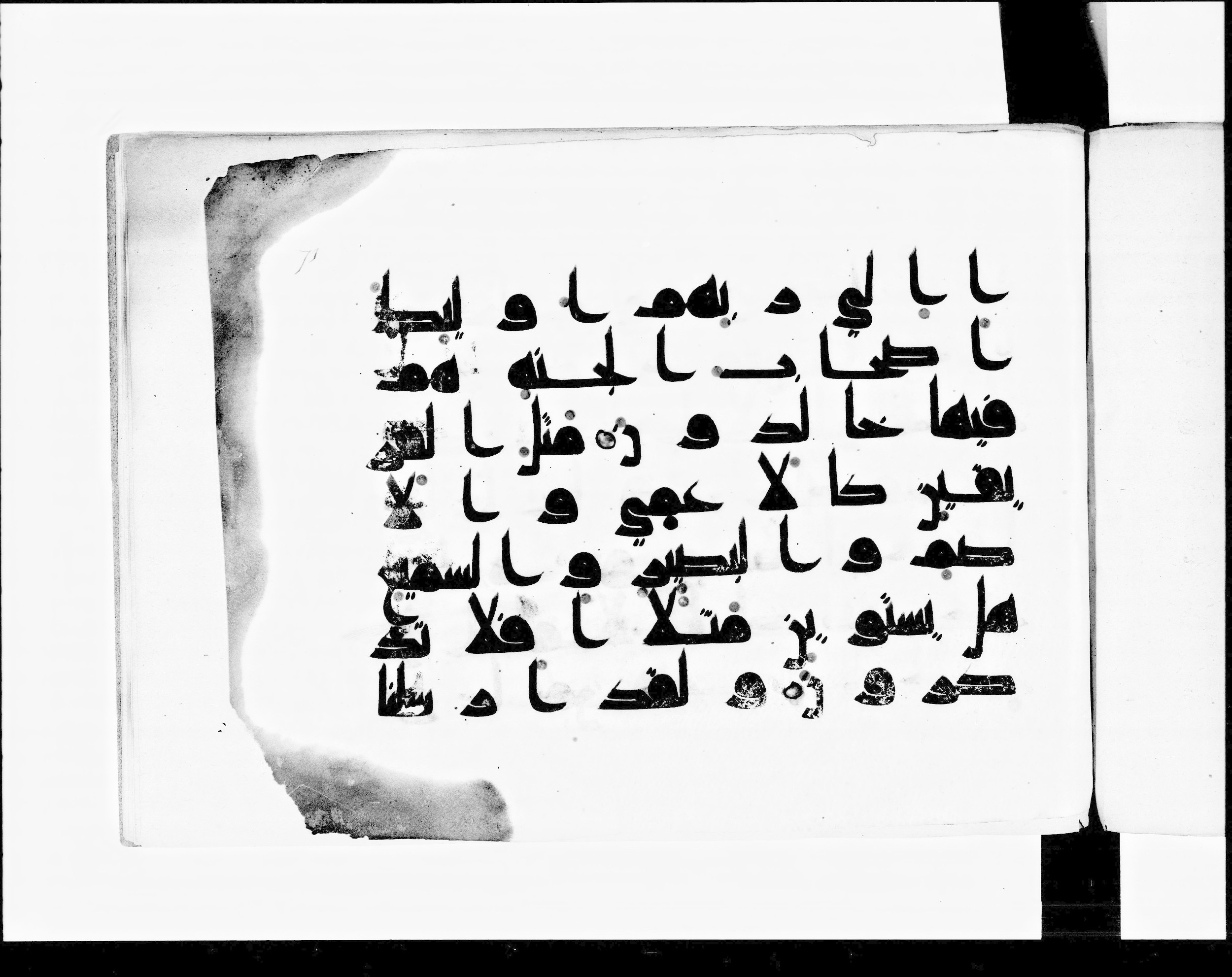 Paris, Bibliothèque nationale de France, Arabe 348 (d) (Scan 2), in kūfī D.I script, showing Surah 11:23 from 8th to 9th Century AD found in Fustat (Old Cairo), Egypt, currently housed at Bibliothèque nationale de France, Paris