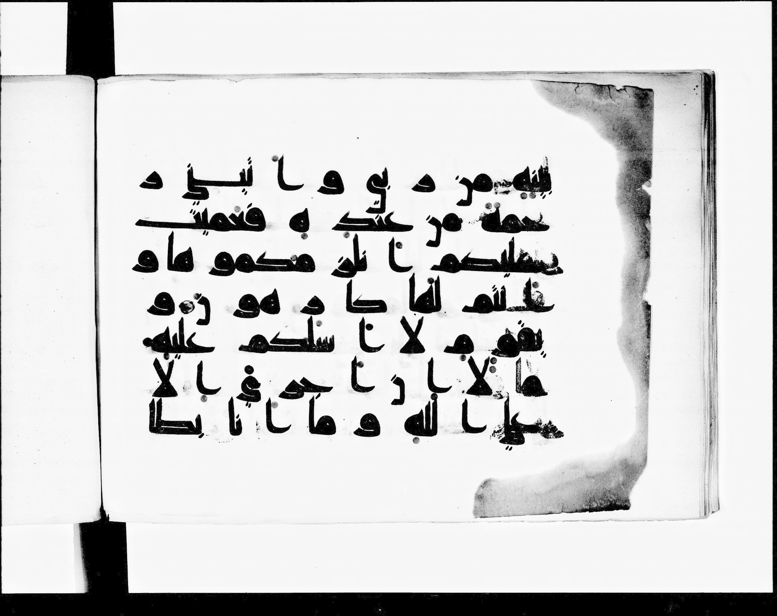 Paris, Bibliothèque nationale de France, Arabe 348 (d) (Scan 1), in kūfī D.I script, showing Surah 11:29 from 8th to 9th Century AD found in Fustat (Old Cairo), Egypt, currently housed at Bibliothèque nationale de France, Paris