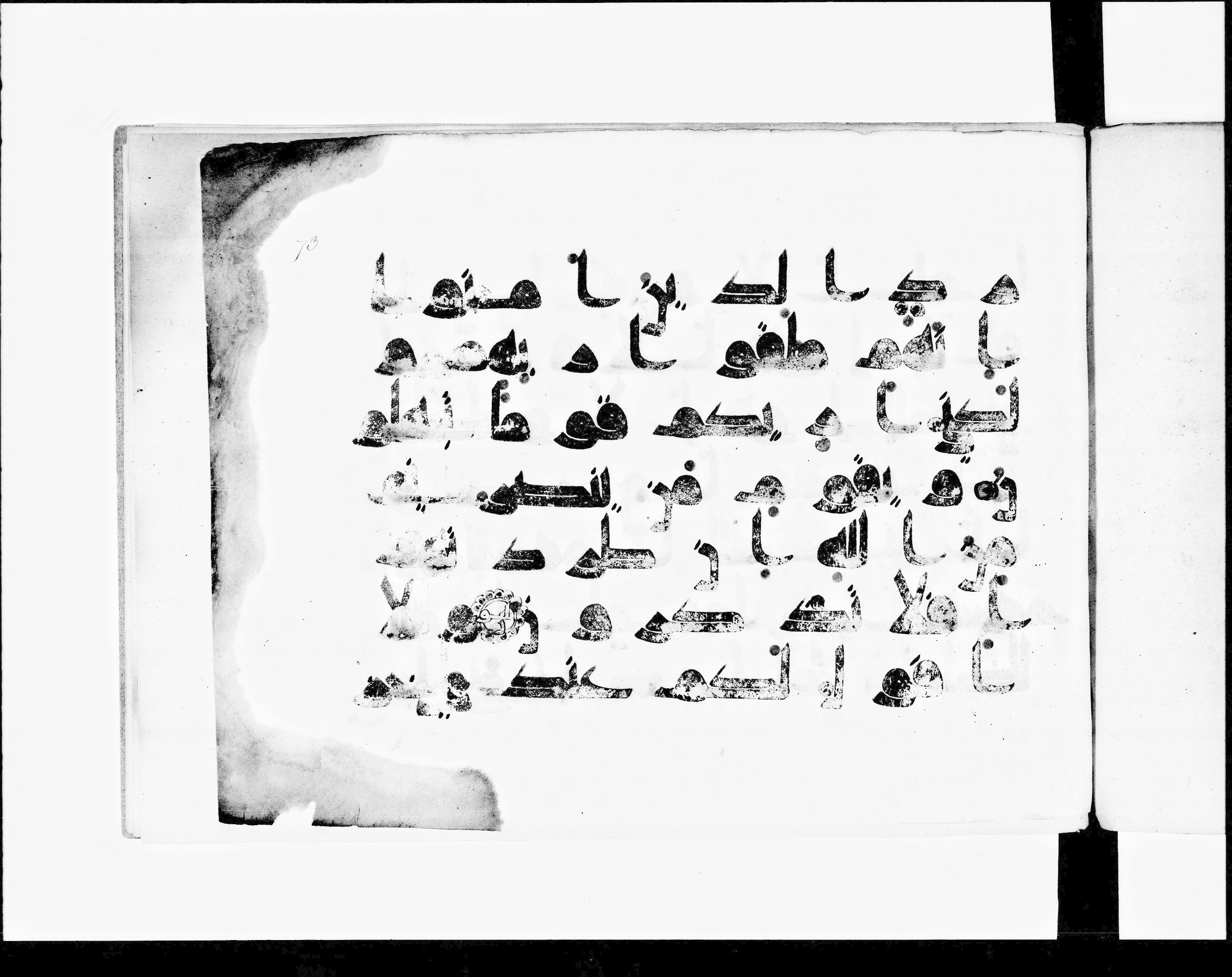 Paris, Bibliothèque nationale de France, Arabe 348 (d) (Scan 2), in kūfī D.I script, showing Surah 11:29 from 8th to 9th Century AD found in Fustat (Old Cairo), Egypt, currently housed at Bibliothèque nationale de France, Paris