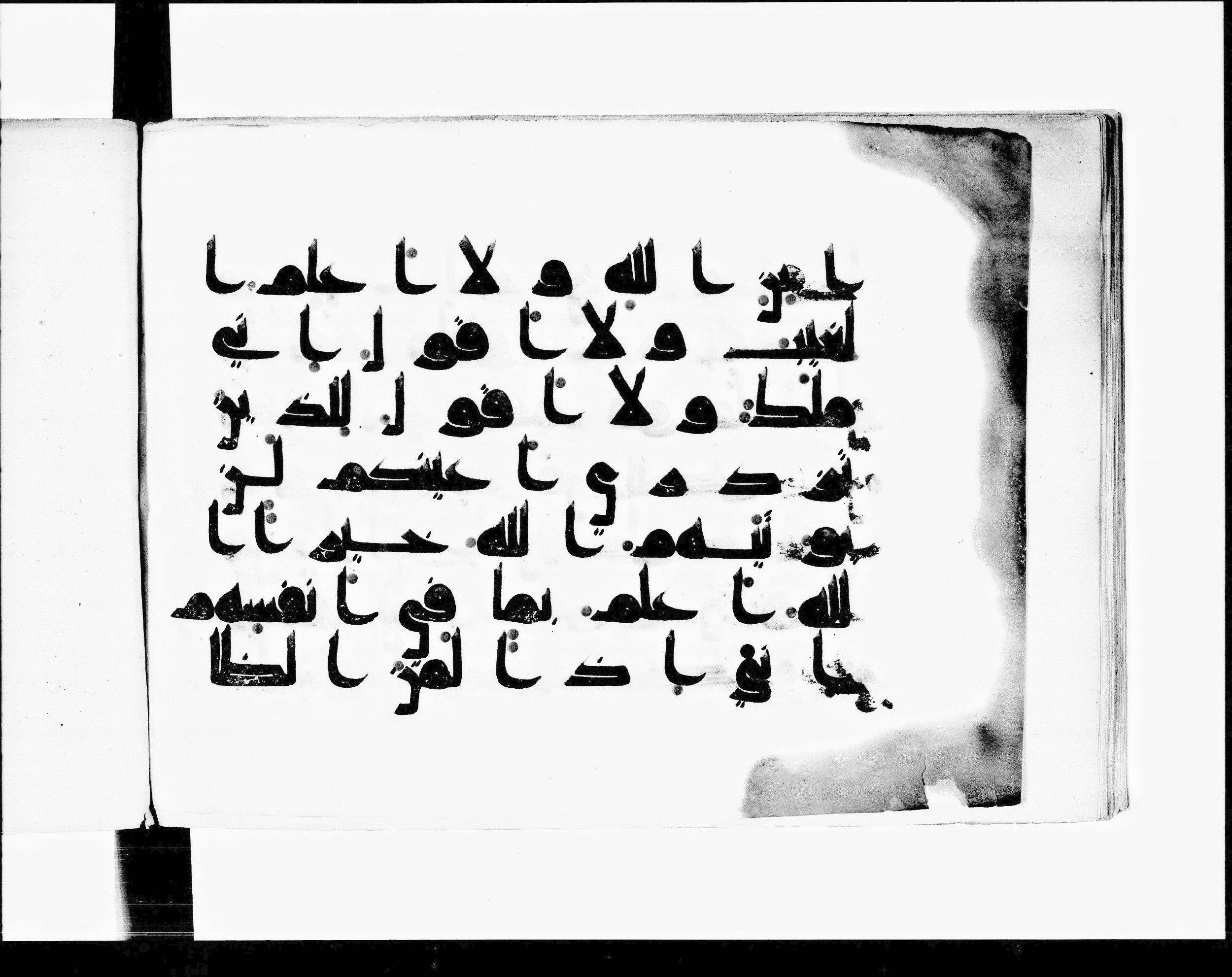 Paris, Bibliothèque nationale de France, Arabe 348 (d) (Scan 2), in kūfī D.I script, showing Surah 11:31 from 8th to 9th Century AD found in Fustat (Old Cairo), Egypt, currently housed at Bibliothèque nationale de France, Paris