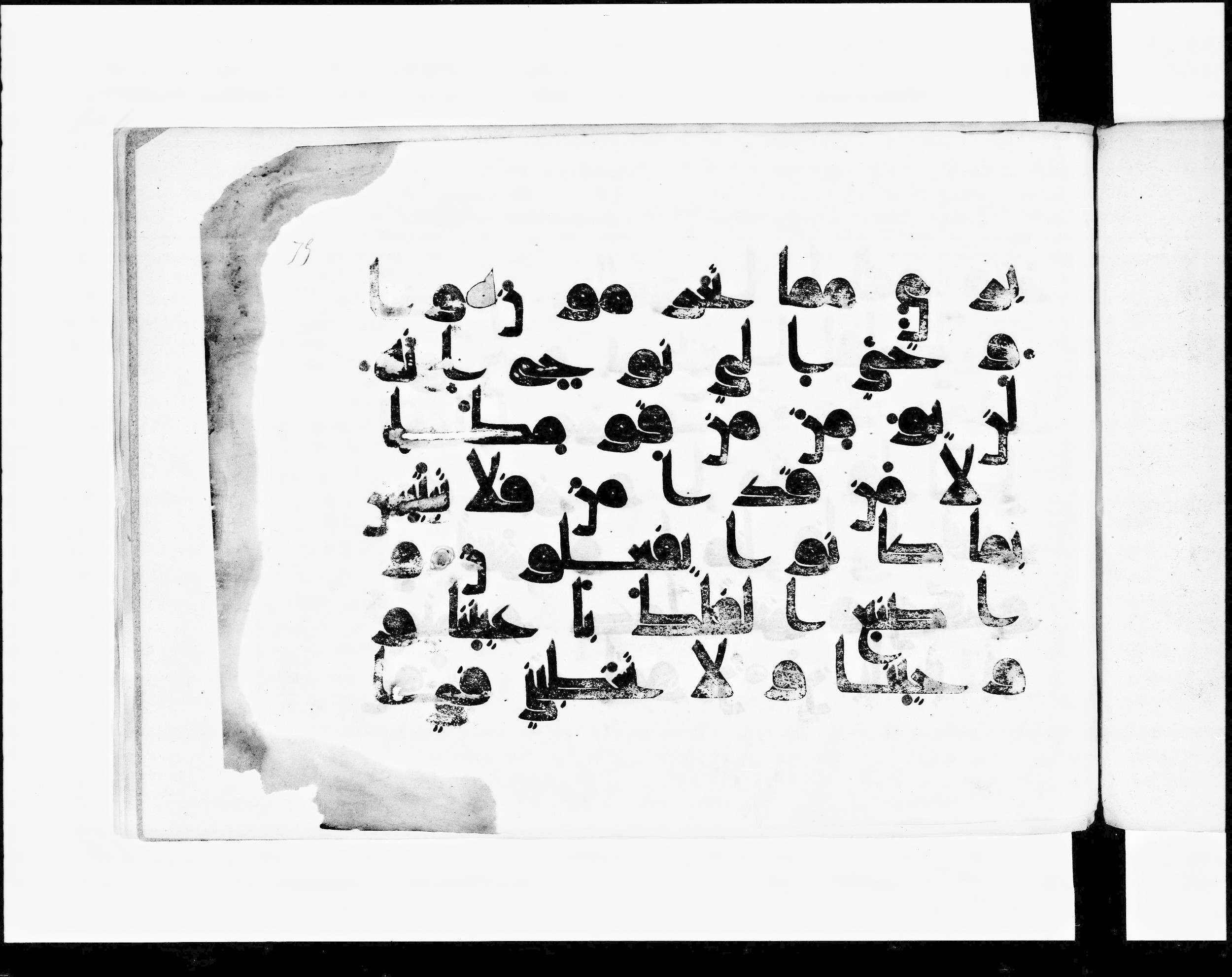 Paris, Bibliothèque nationale de France, Arabe 348 (d) (Scan 2), in kūfī D.I script, showing Surah 11:35 from 8th to 9th Century AD found in Fustat (Old Cairo), Egypt, currently housed at Bibliothèque nationale de France, Paris