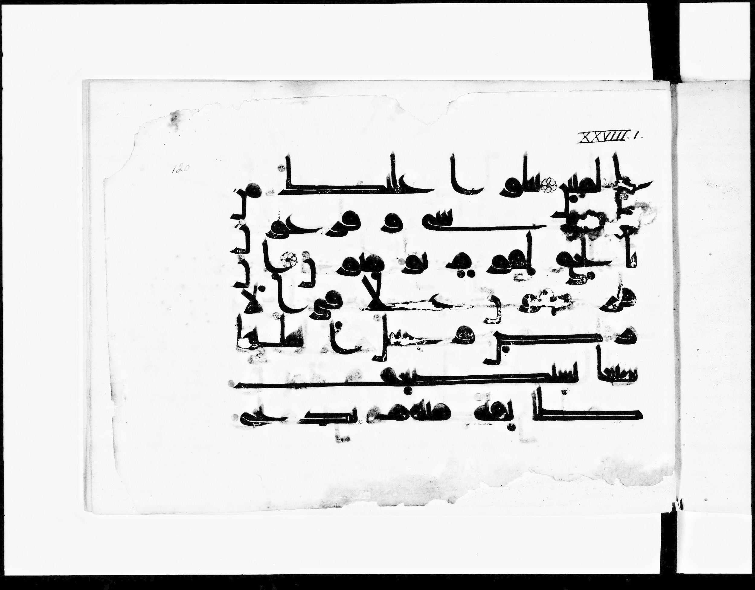 Paris, Bibliothèque nationale de France, Arabe 348 (e), in Kufic D.I script, showing Surah 28:2 from 8th to 9th Century AD found in Fustat (Old Cairo), Egypt, currently housed at Bibliothèque nationale de France, Paris