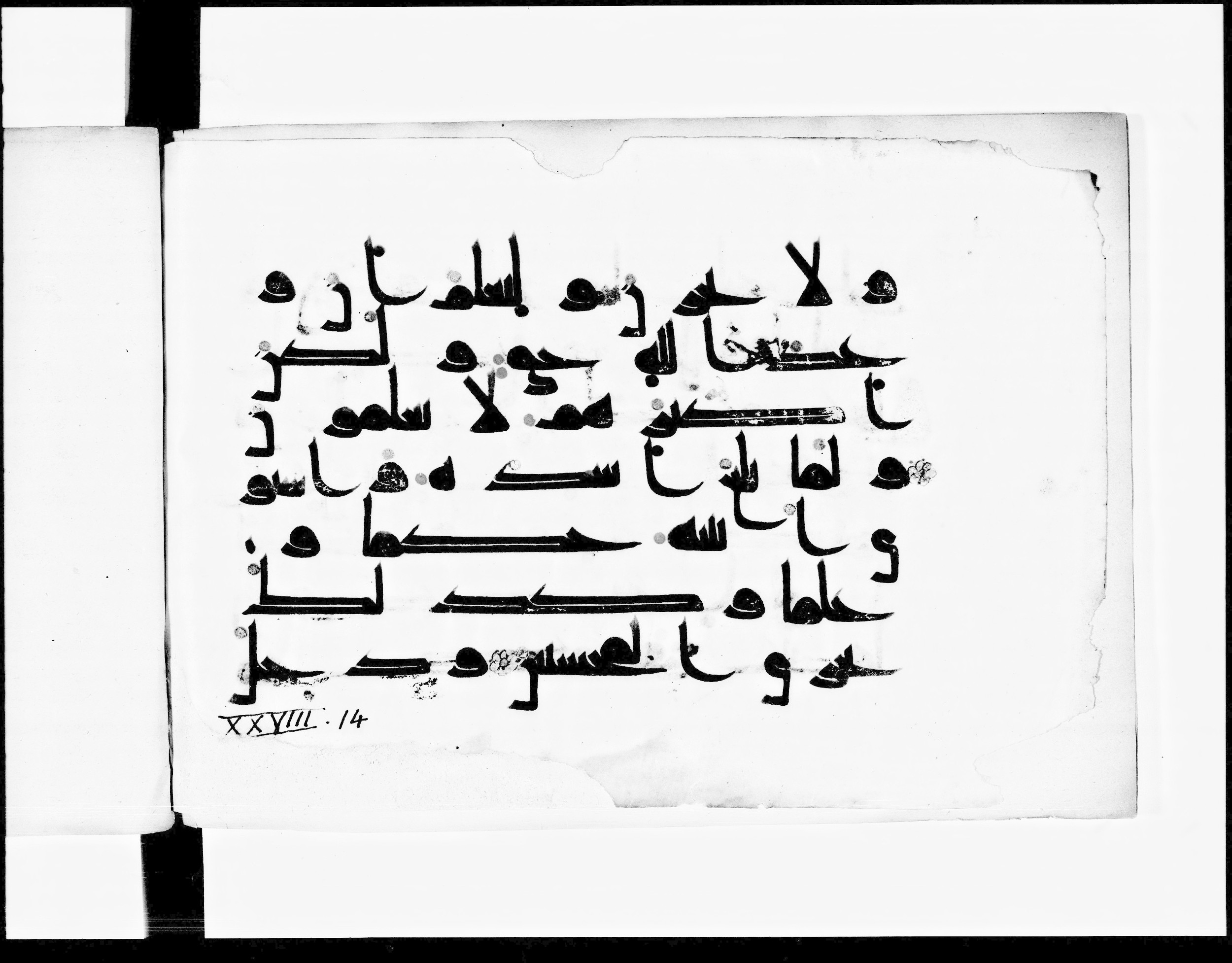 Paris, Bibliothèque nationale de France, Arabe 348 (e), in Kufic D.I script, showing Surah 28:14 from 8th to 9th Century AD found in Fustat (Old Cairo), Egypt, currently housed at Bibliothèque nationale de France, Paris