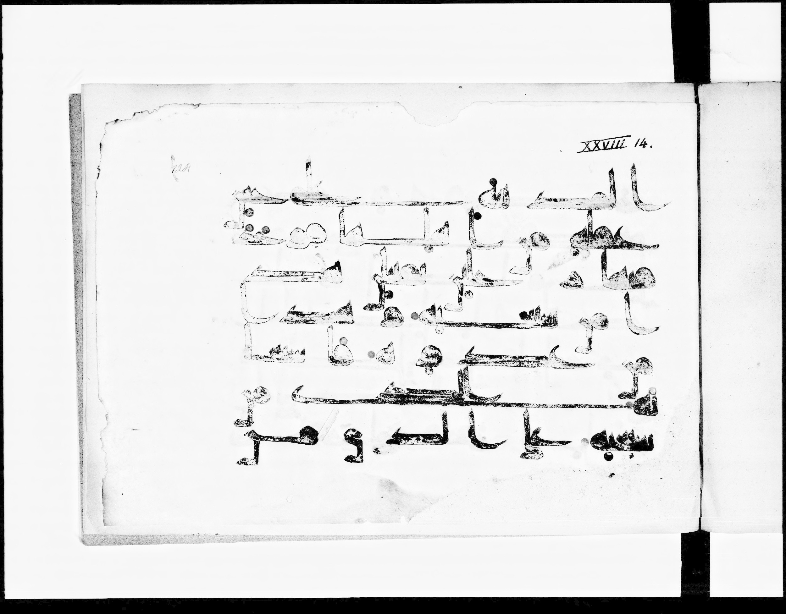 Paris, Bibliothèque nationale de France, Arabe 348 (e) (Scan 2), in Kufic D.I script, showing Surah 28:15 from 8th to 9th Century AD found in Fustat (Old Cairo), Egypt, currently housed at Bibliothèque nationale de France, Paris