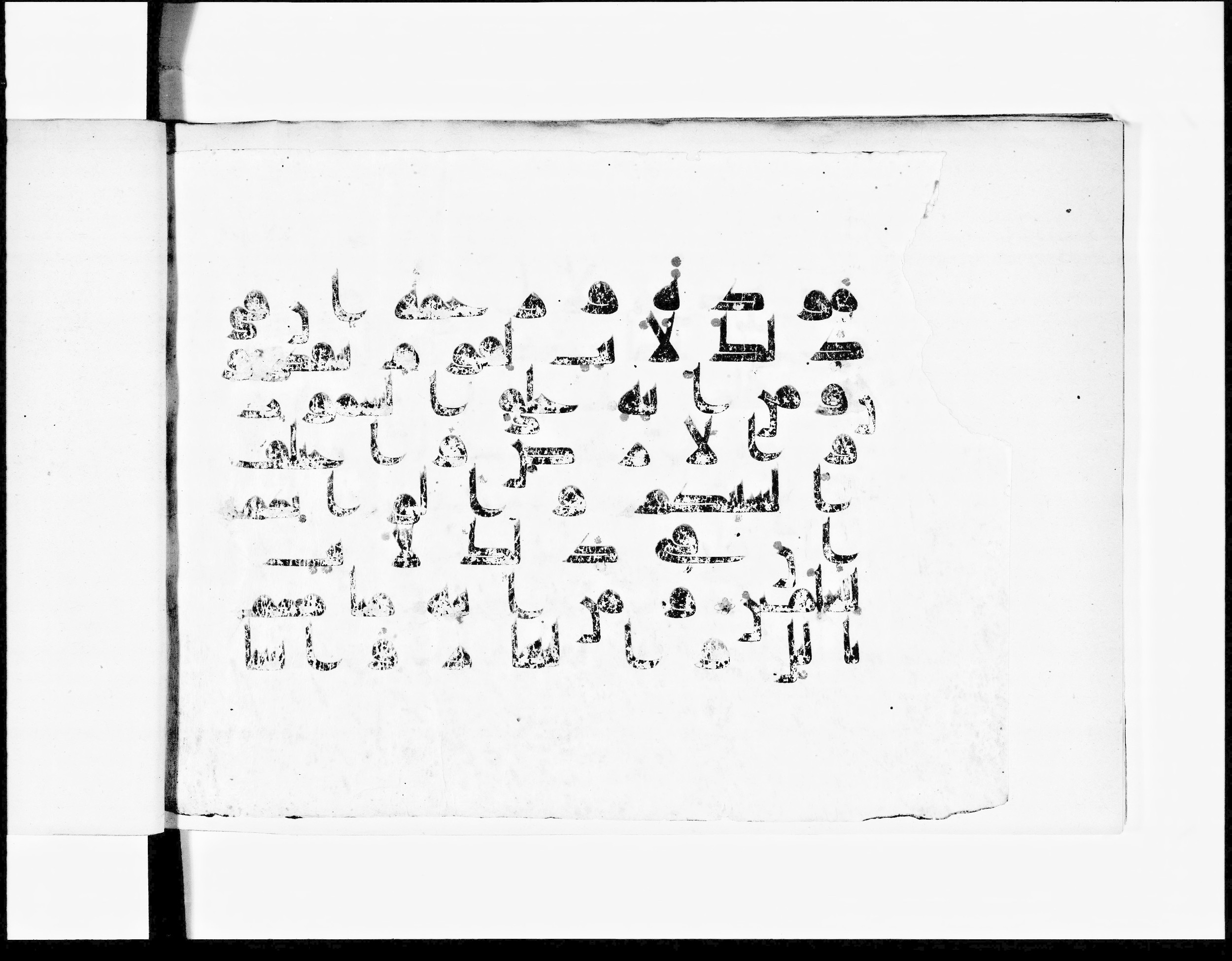 Paris, Bibliothèque nationale de France, Arabe 348 (h), in Kufic D.I script, showing Surah 30:22 from 8th to 9th Century AD found in al-Fusṭāṭ (Fustat, Old Cairo), Egypt, currently housed at Bibliothèque nationale de France, Paris