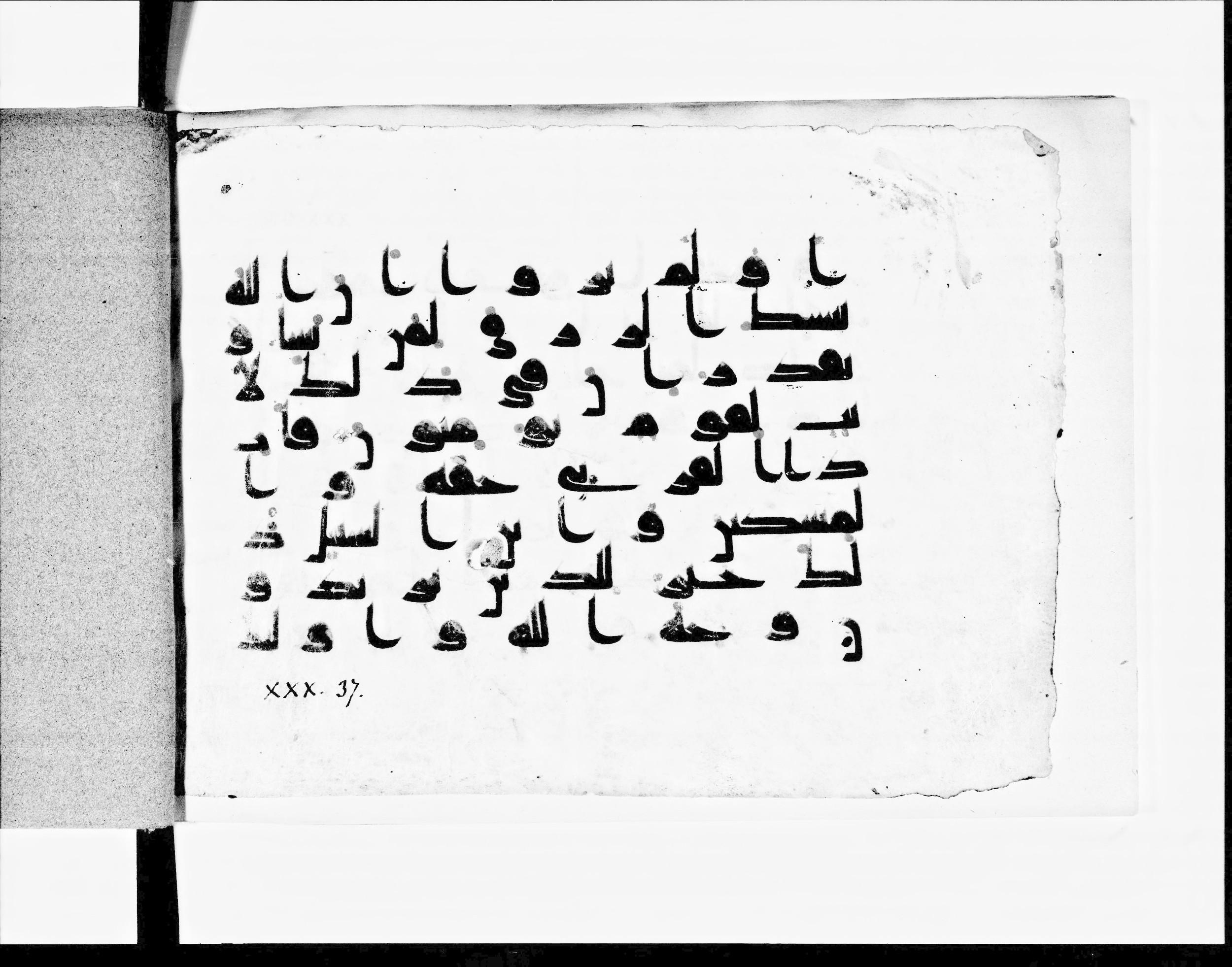 Paris, Bibliothèque nationale de France, Arabe 348 (h), in Kufic D.I script, showing Surah 30:37 from 8th to 9th Century AD found in al-Fusṭāṭ (Fustat, Old Cairo), Egypt, currently housed at Bibliothèque nationale de France, Paris