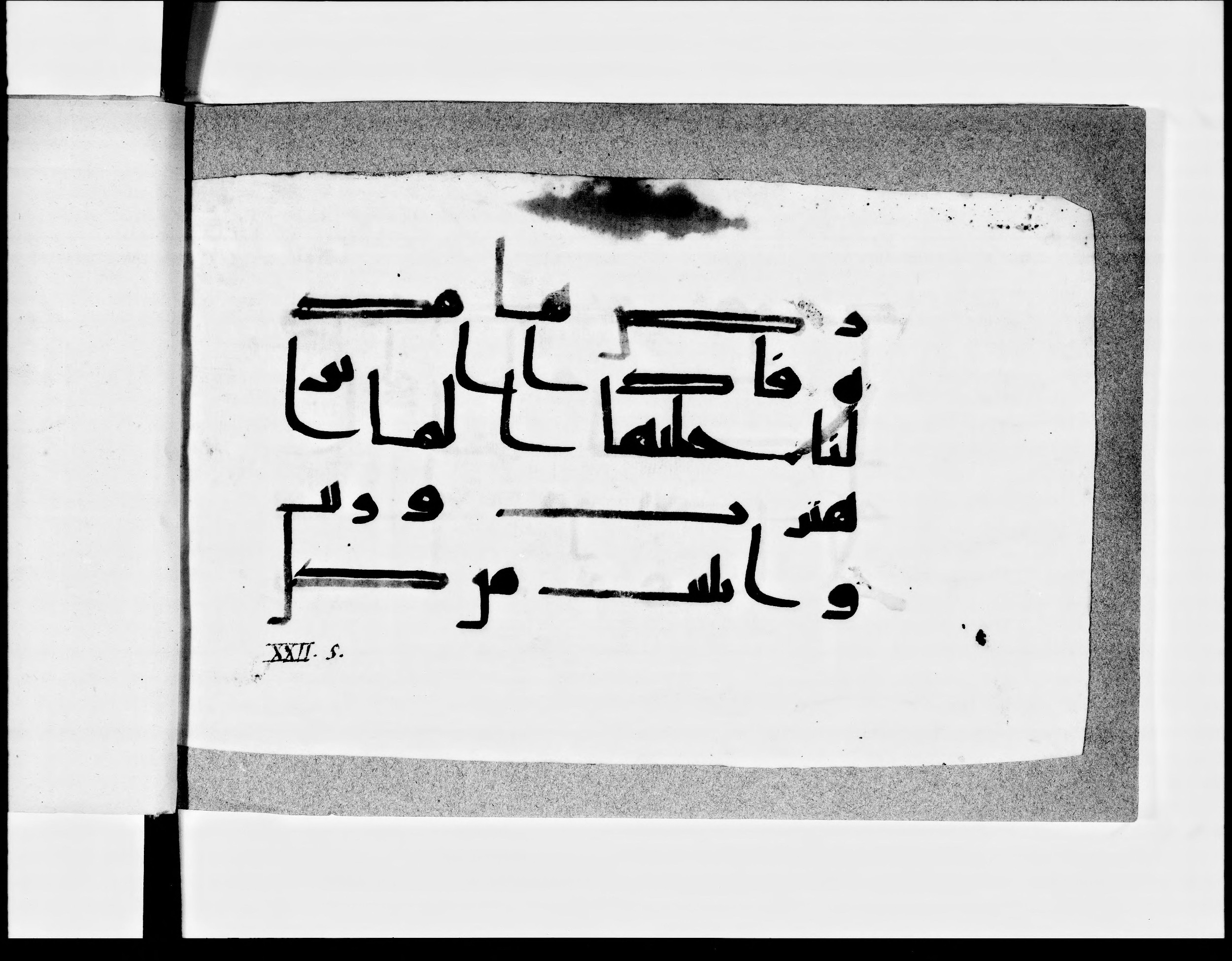 Paris, Bibliothèque nationale de France, Arabe 348 (i) (Scan 2), in Kufic D.I and Kufic D.III script, showing Surah 22:5 from Mid 8th to Late 10th Century AD found in Fustat (Old Cairo), Egypt, currently housed at Bibliothèque nationale de France, Paris