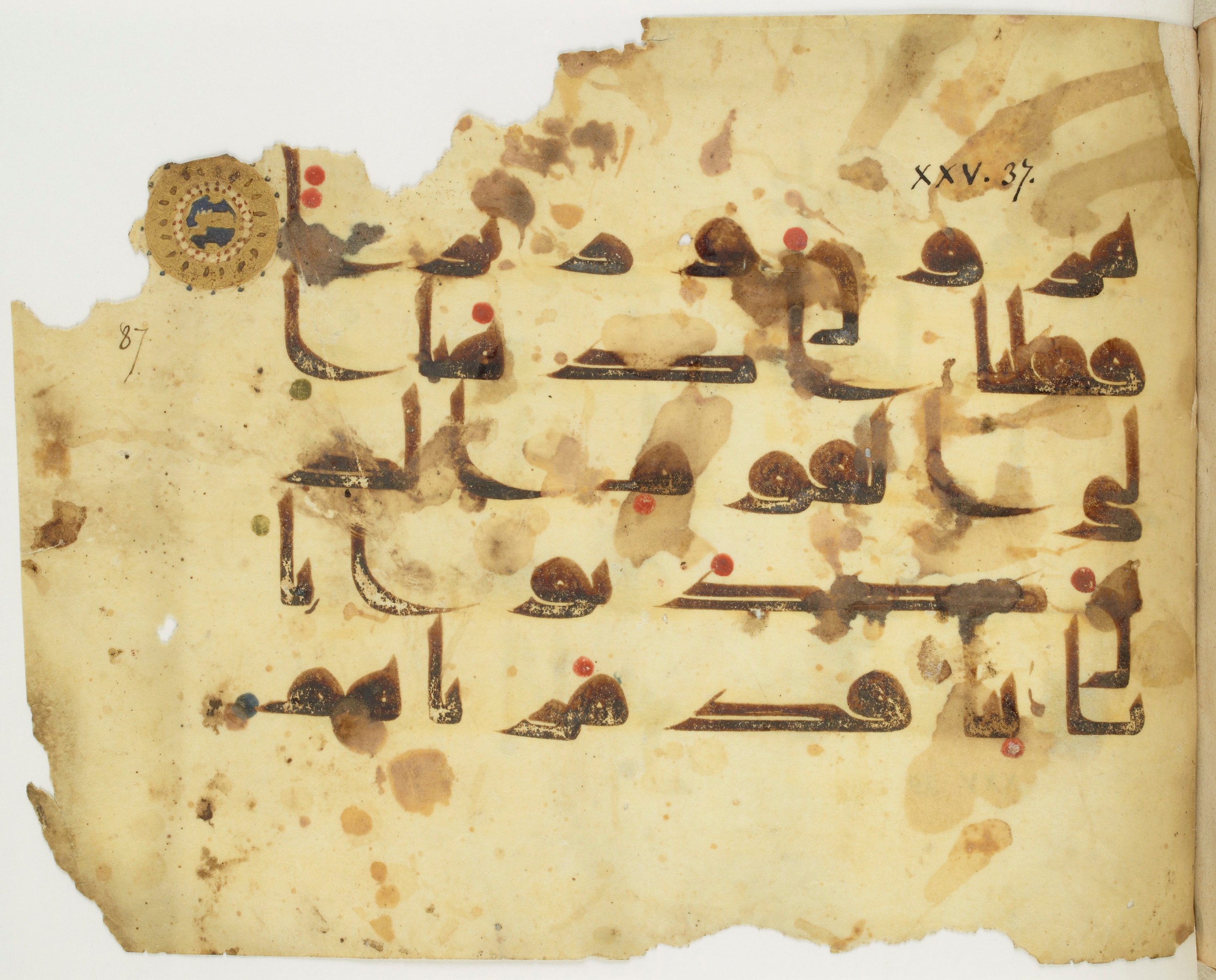 Paris, Bibliothèque nationale de France, Arabe 349 (d), in kūfī D.III script, showing Surah 25:35 from Mid 8th to Late 10th Century AD found in al-Fusṭāṭ, Egypt, currently housed at Bibliothèque nationale de France, Paris