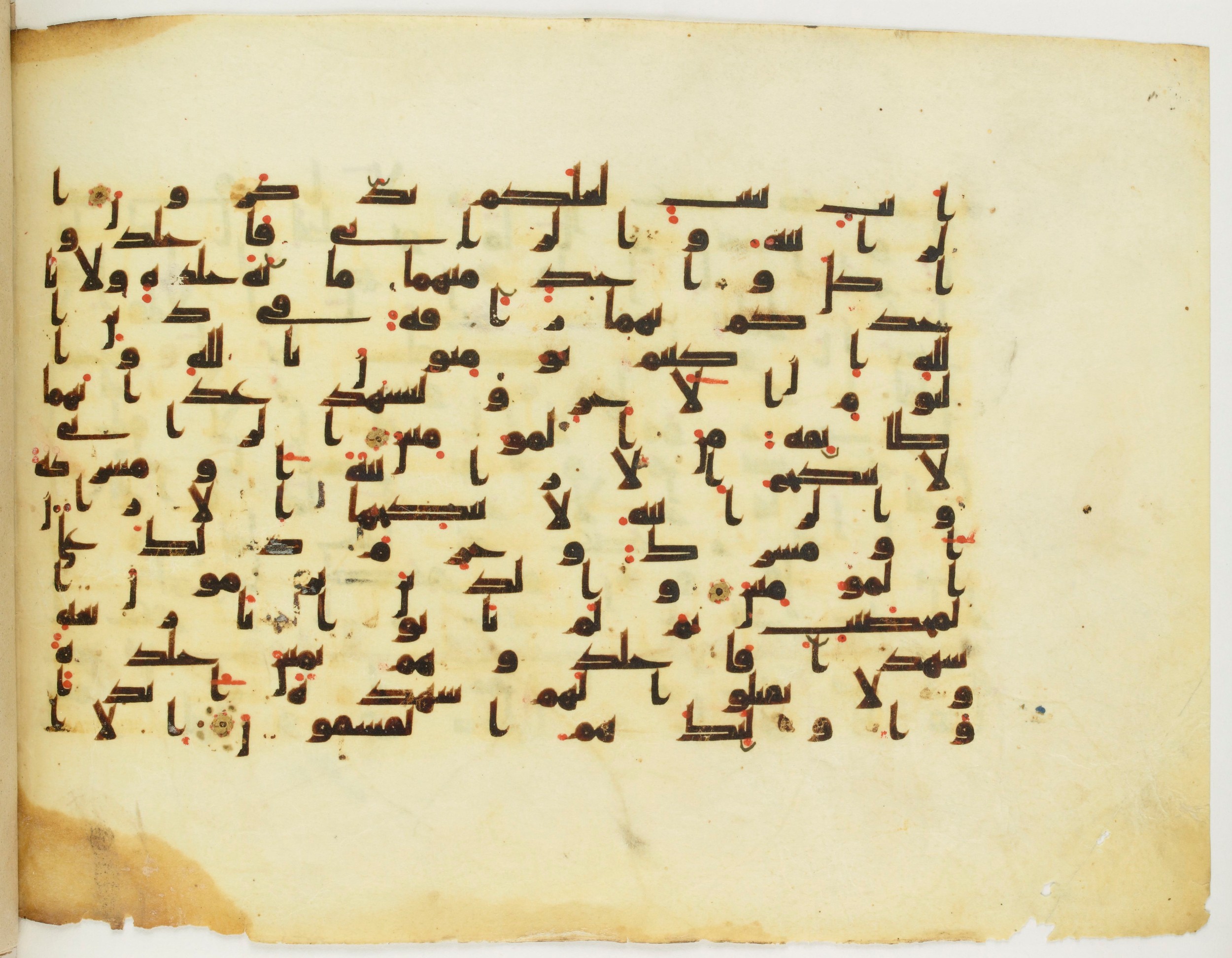 Paris, Bibliothèque nationale de France, Arabe 349 (f), in kūfī B.II script, showing Surah 24:2 from Mid 8th to Late 9th Century AD found in Fustat (Old Cairo), Egypt, currently housed at Bibliothèque nationale de France, Paris