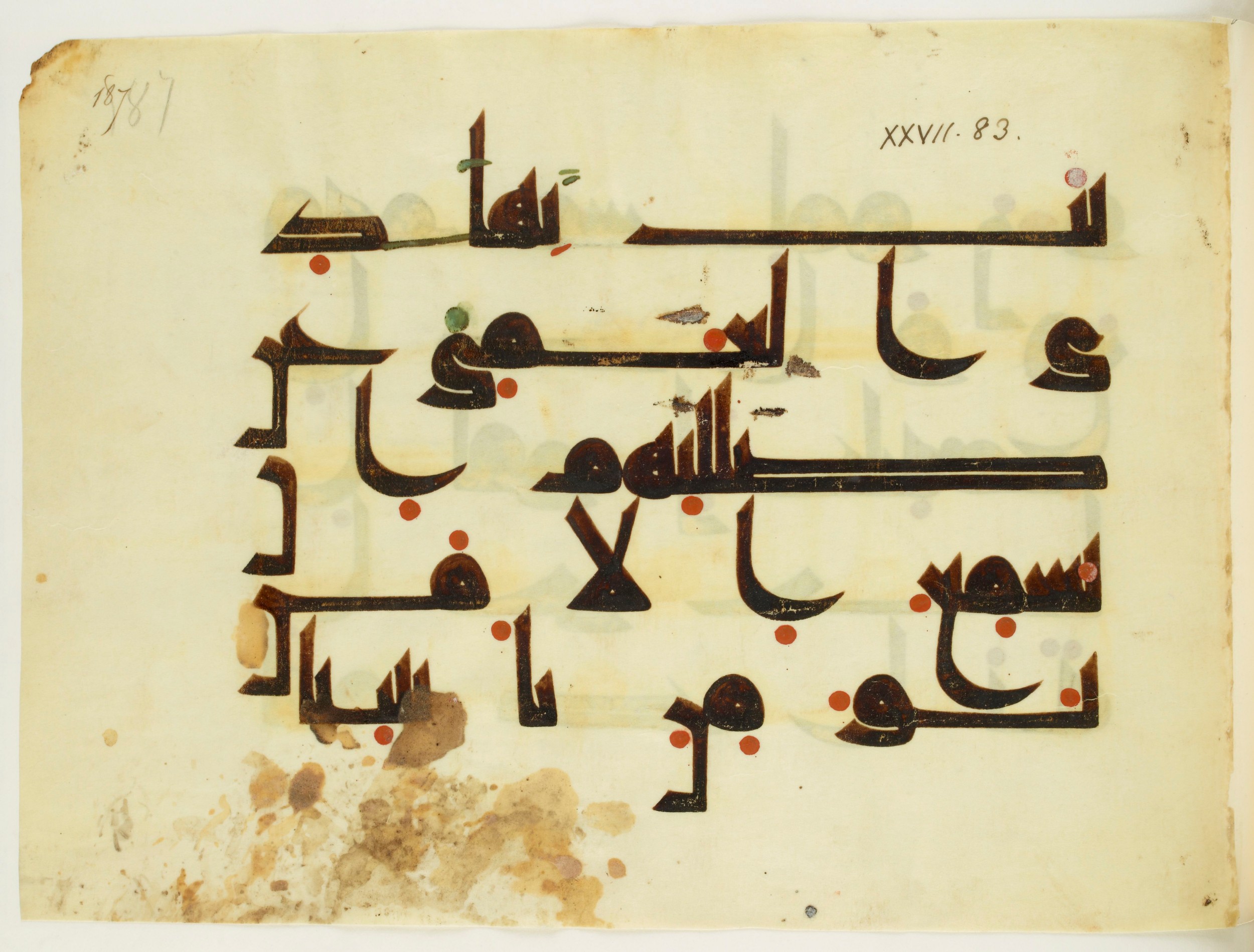 Paris, Bibliothèque nationale de France, Arabe 350 (b) (Scan 1), in kūfī D.I script, showing Surah 27:81 from Mid 8th to Late 10th Century AD found in Fustat (Old Cairo), Egypt, currently housed at Bibliothèque nationale de France, Paris