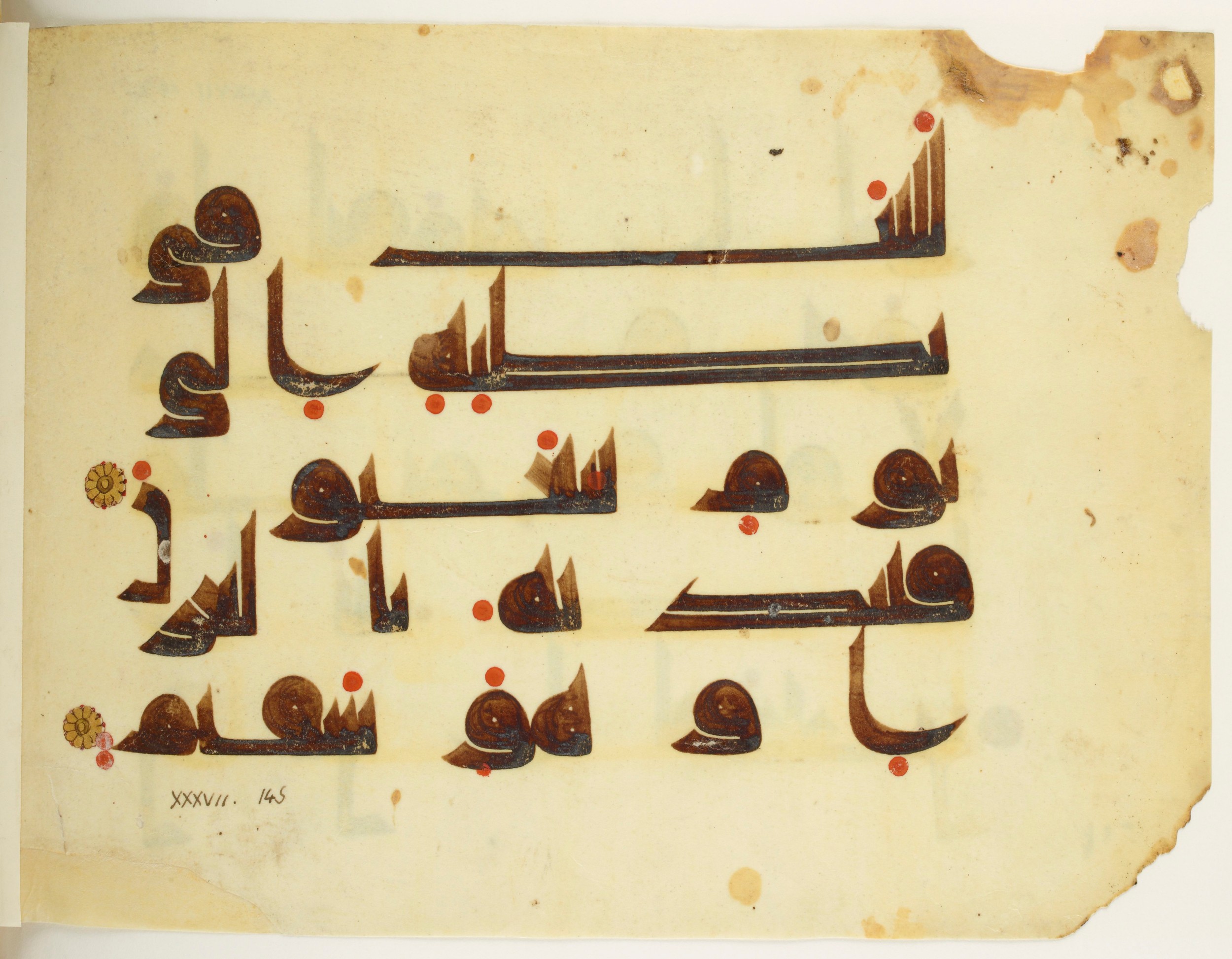 Paris, Bibliothèque nationale de France, Arabe 350 (b), in kūfī D.I script, showing Surah 37:144 from Mid 8th to Late 10th Century AD found in Fustat (Old Cairo), Egypt, currently housed at Bibliothèque nationale de France, Paris