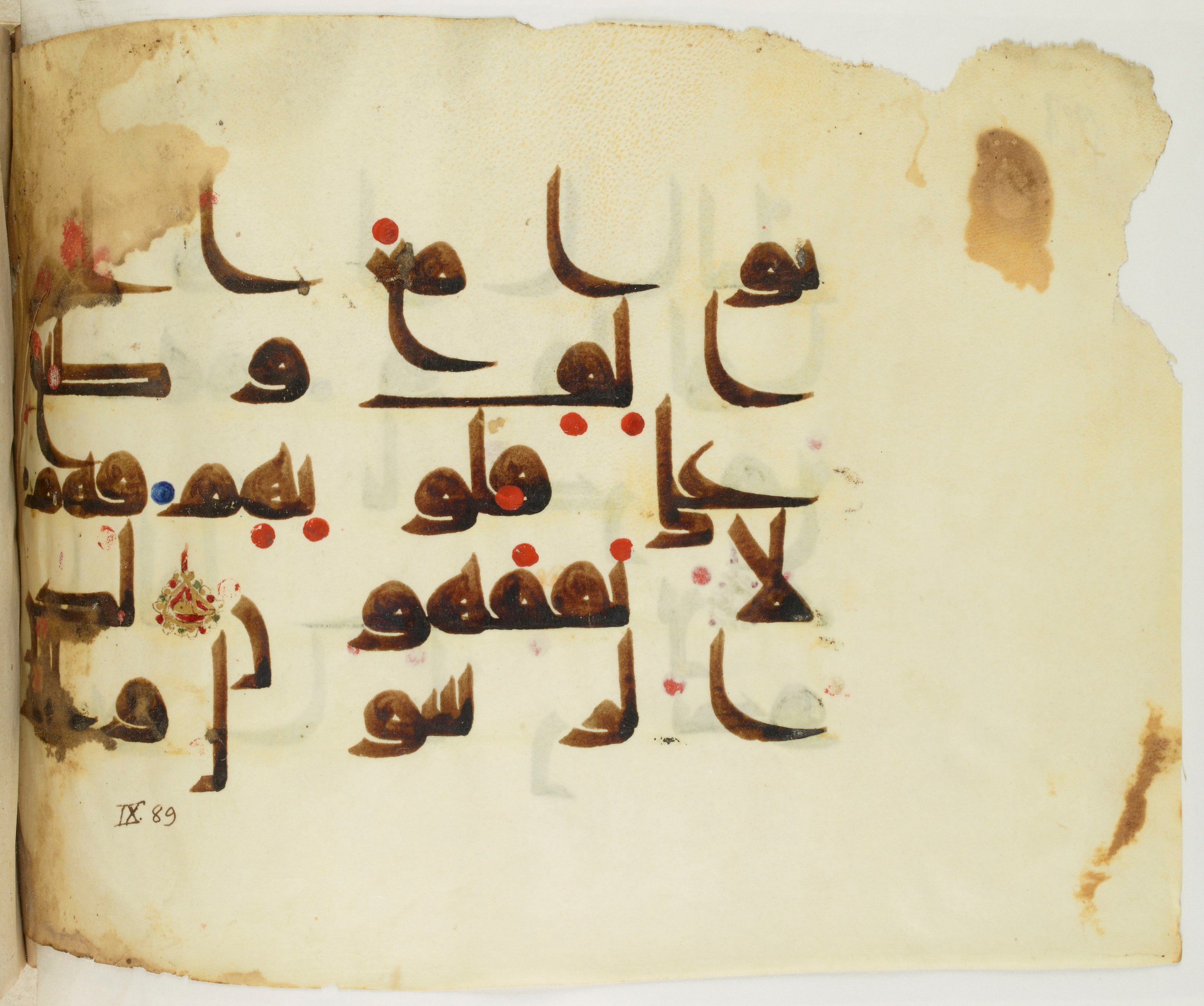 BNF Arabe 351 (Scan 2), in Kufic D.III script, showing Surah 9:87 from Mid 8th to Late 10th Century AD found in Mosque of ʿAmr b. al-ʿĀṣ in Fusṭāṭ (Old Cairo), Egypt, currently housed at Bibliothèque nationale de France, Paris