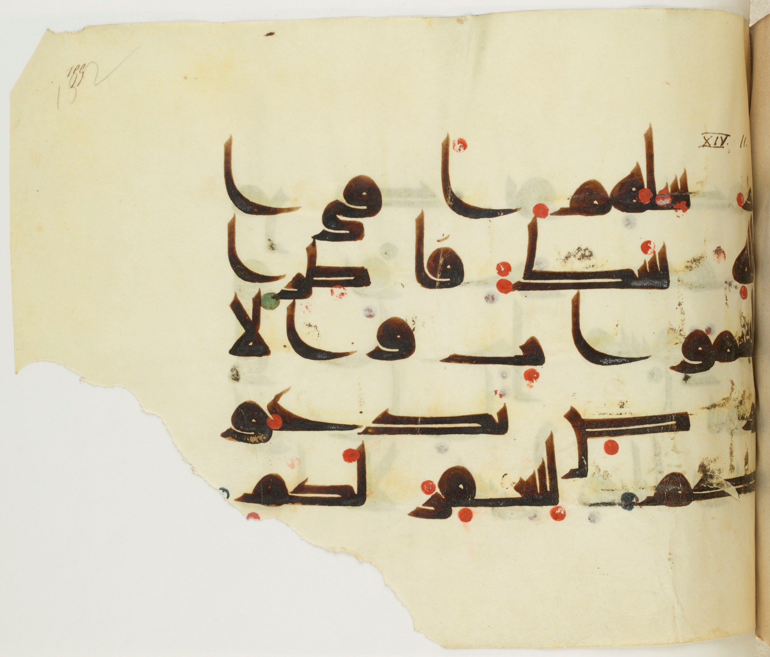 BNF Arabe 351 (Scan 1), in Kufic D.III script, showing Surah 14:10 from Mid 8th to Late 10th Century AD found in Mosque of ʿAmr b. al-ʿĀṣ in Fusṭāṭ (Old Cairo), Egypt, currently housed at Bibliothèque nationale de France, Paris