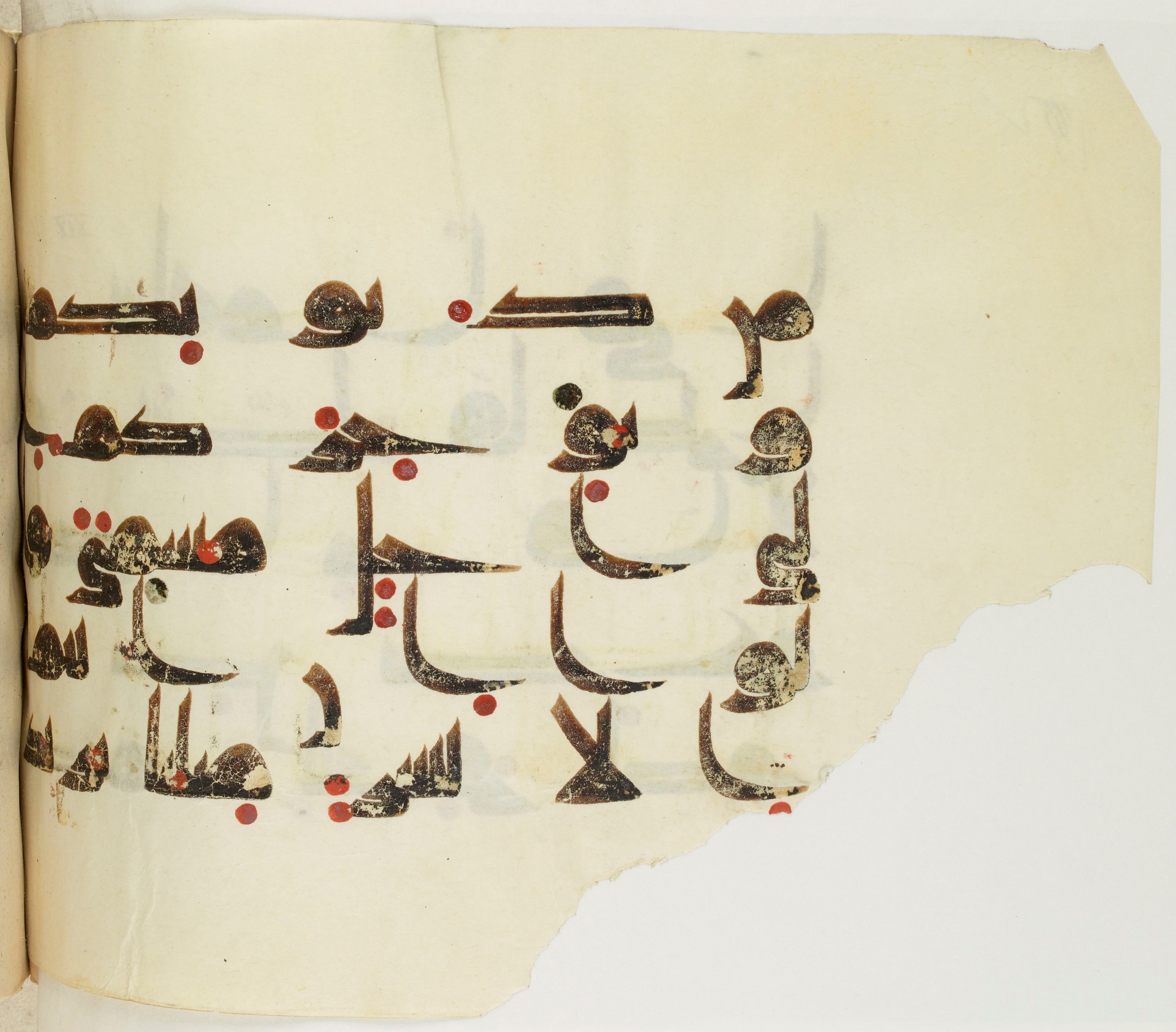 BNF Arabe 351 (Scan 2), in Kufic D.III script, showing Surah 14:10 from Mid 8th to Late 10th Century AD found in Mosque of ʿAmr b. al-ʿĀṣ in Fusṭāṭ (Old Cairo), Egypt, currently housed at Bibliothèque nationale de France, Paris