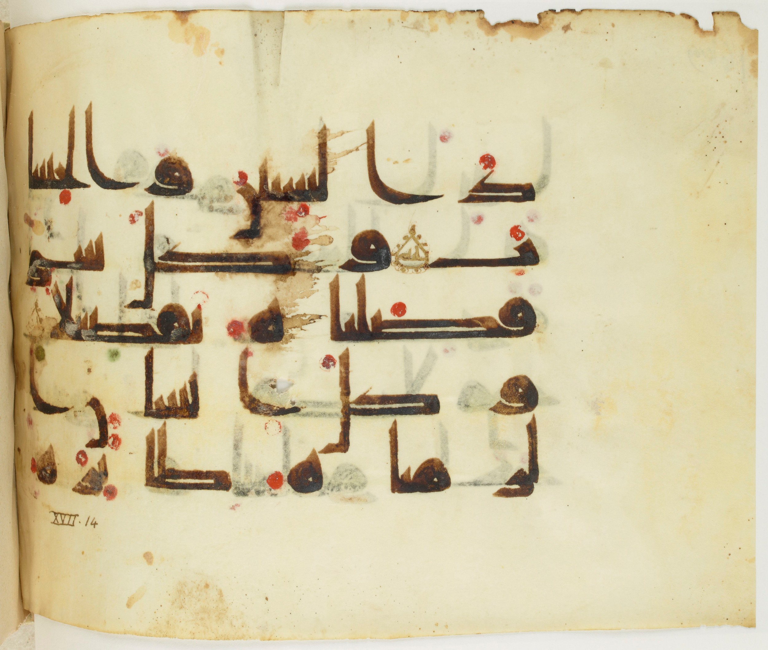BNF Arabe 351, in Kufic D.III script, showing Surah 17:13 from Mid 8th to Late 10th Century AD found in Mosque of ʿAmr b. al-ʿĀṣ in Fusṭāṭ (Old Cairo), Egypt, currently housed at Bibliothèque nationale de France, Paris