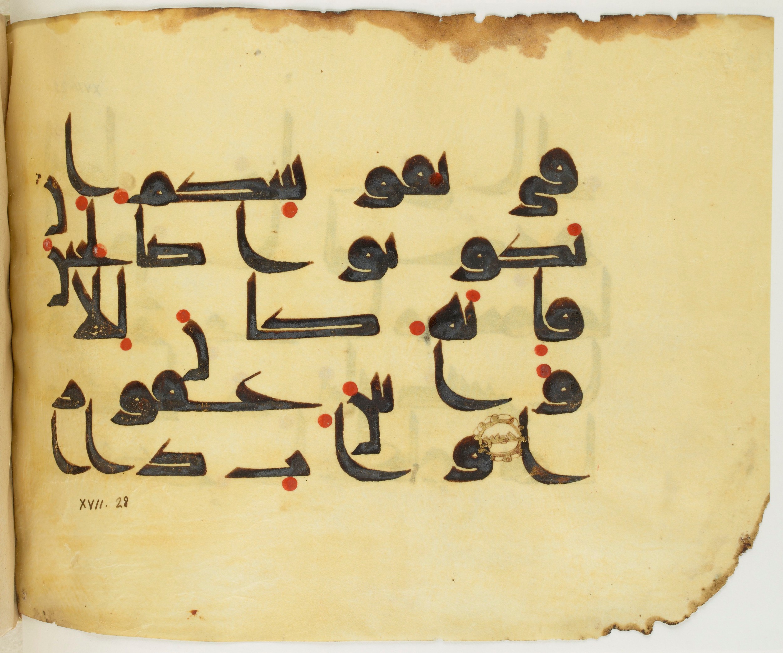 BNF Arabe 351 (Scan 2), in Kufic D.III script, showing Surah 17:25 from Mid 8th to Late 10th Century AD found in Mosque of ʿAmr b. al-ʿĀṣ in Fusṭāṭ (Old Cairo), Egypt, currently housed at Bibliothèque nationale de France, Paris