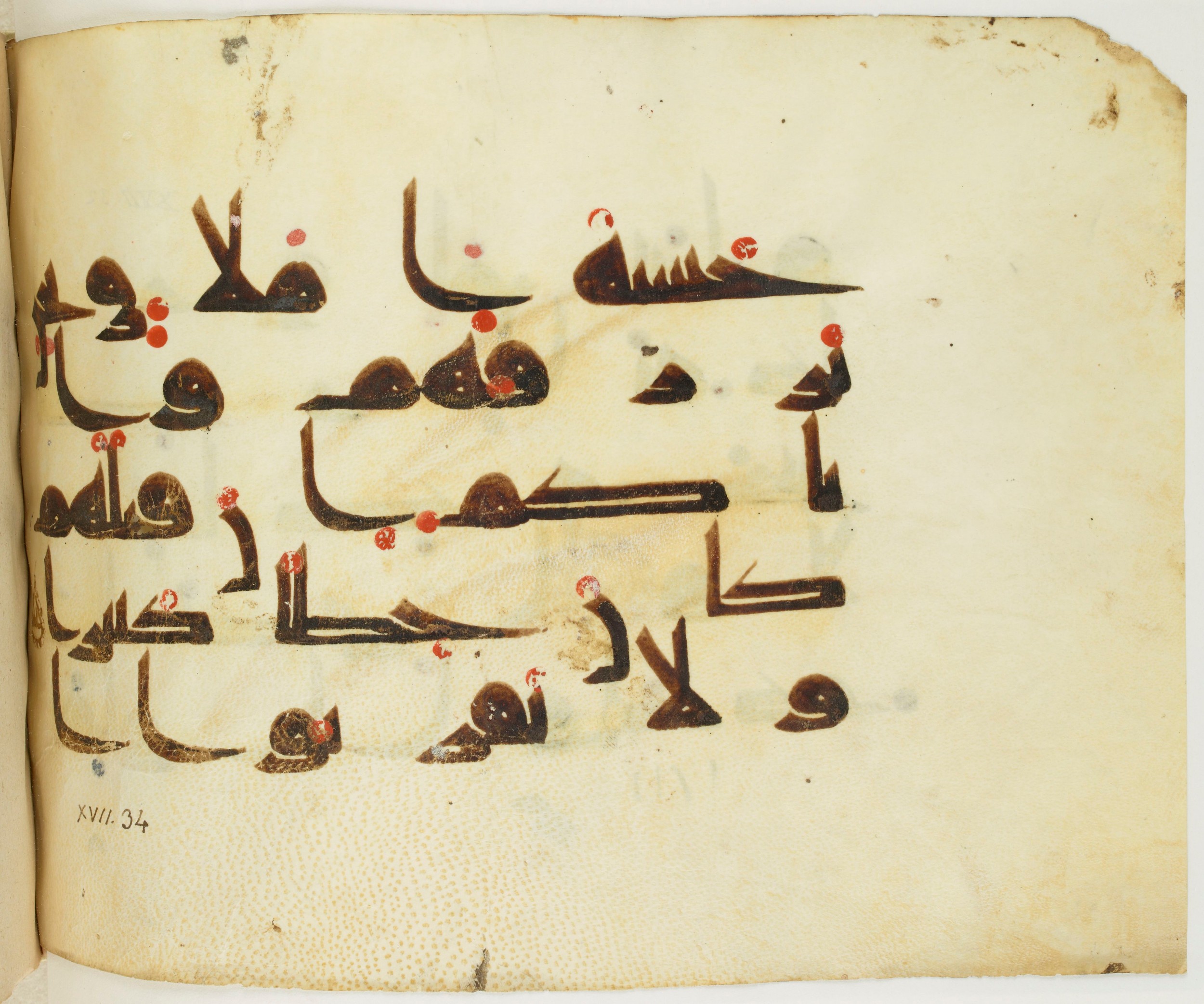 BNF Arabe 351 (Scan 2), in Kufic D.III script, showing Surah 17:31 from Mid 8th to Late 10th Century AD found in Mosque of ʿAmr b. al-ʿĀṣ in Fusṭāṭ (Old Cairo), Egypt, currently housed at Bibliothèque nationale de France, Paris