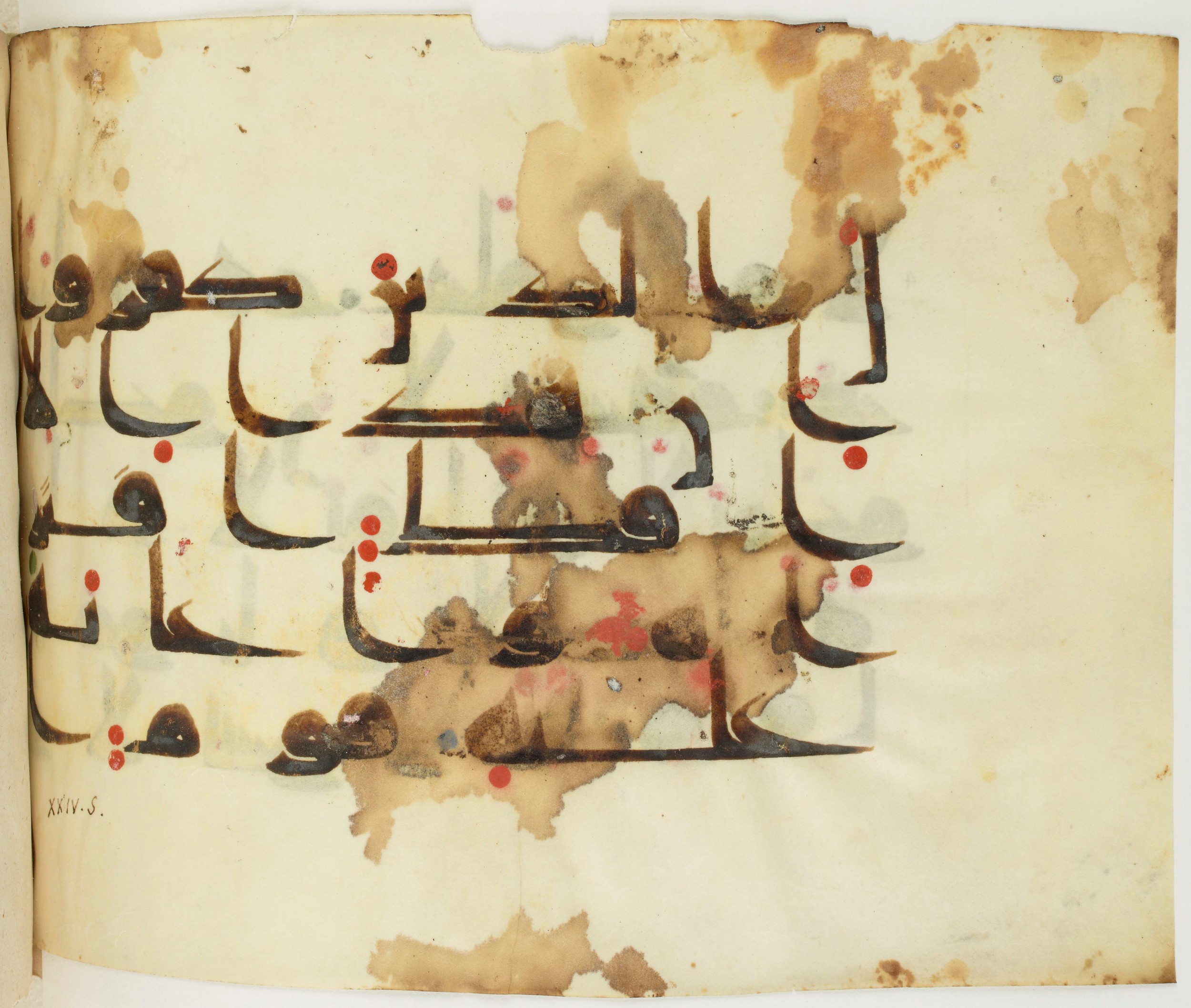 BNF Arabe 351 (Scan 2), in Kufic D.III script, showing Surah 25:4 from Mid 8th to Late 10th Century AD found in Mosque of ʿAmr b. al-ʿĀṣ in Fusṭāṭ (Old Cairo), Egypt, currently housed at Bibliothèque nationale de France, Paris