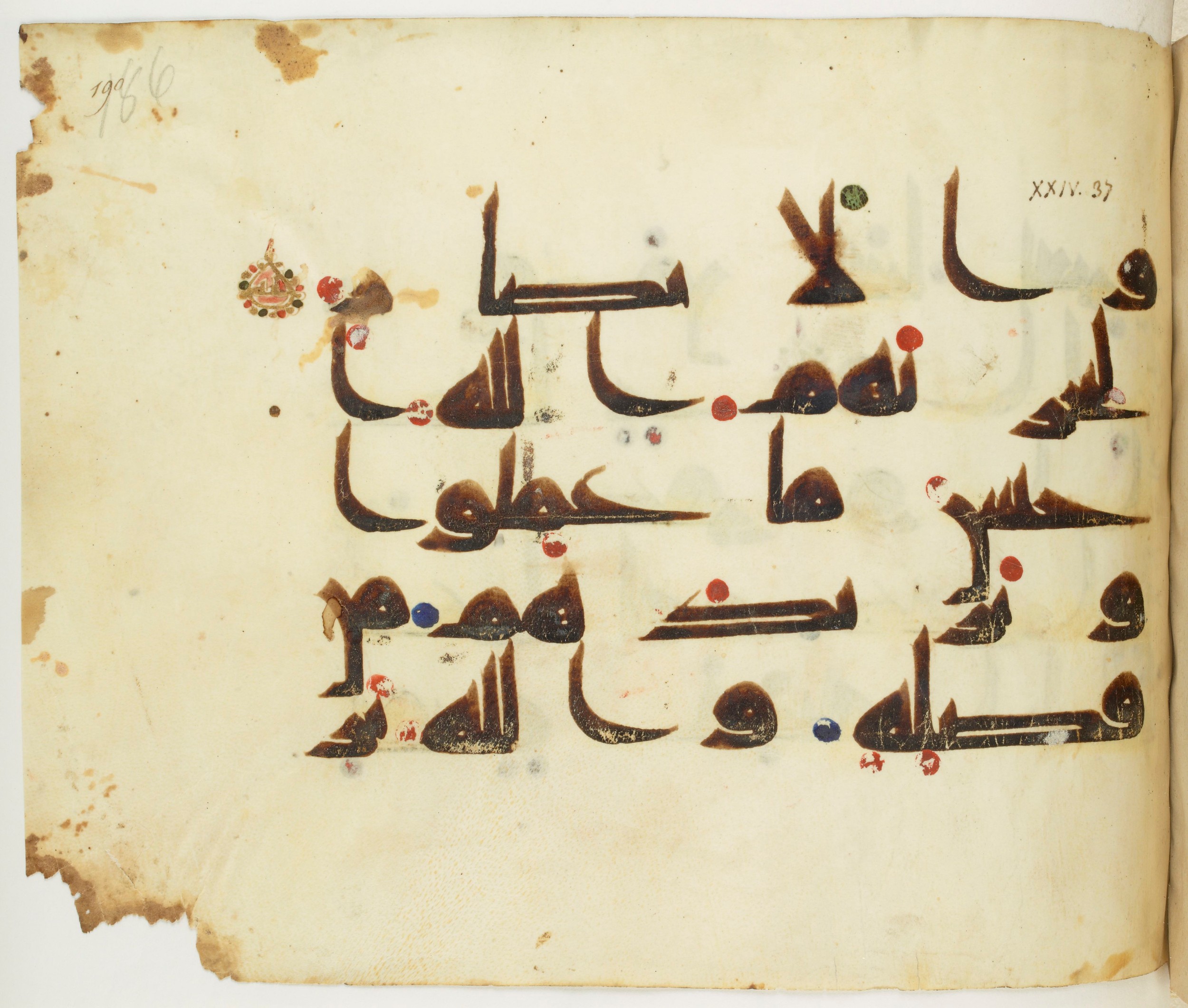 BNF Arabe 351, in Kufic D.III script, showing Surah 24:37 from Mid 8th to Late 10th Century AD found in Mosque of ʿAmr b. al-ʿĀṣ in Fusṭāṭ (Old Cairo), Egypt, currently housed at Bibliothèque nationale de France, Paris