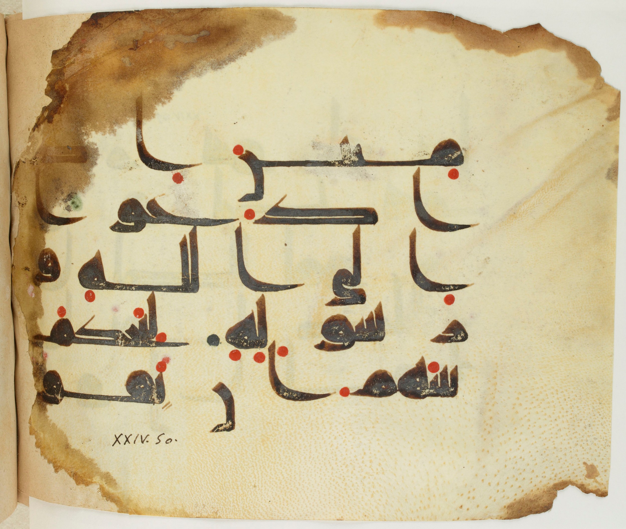 BNF Arabe 351 (Scan 2), in Kufic D.III script, showing Surah 24:51 from Mid 8th to Late 10th Century AD found in Mosque of ʿAmr b. al-ʿĀṣ in Fusṭāṭ (Old Cairo), Egypt, currently housed at Bibliothèque nationale de France, Paris