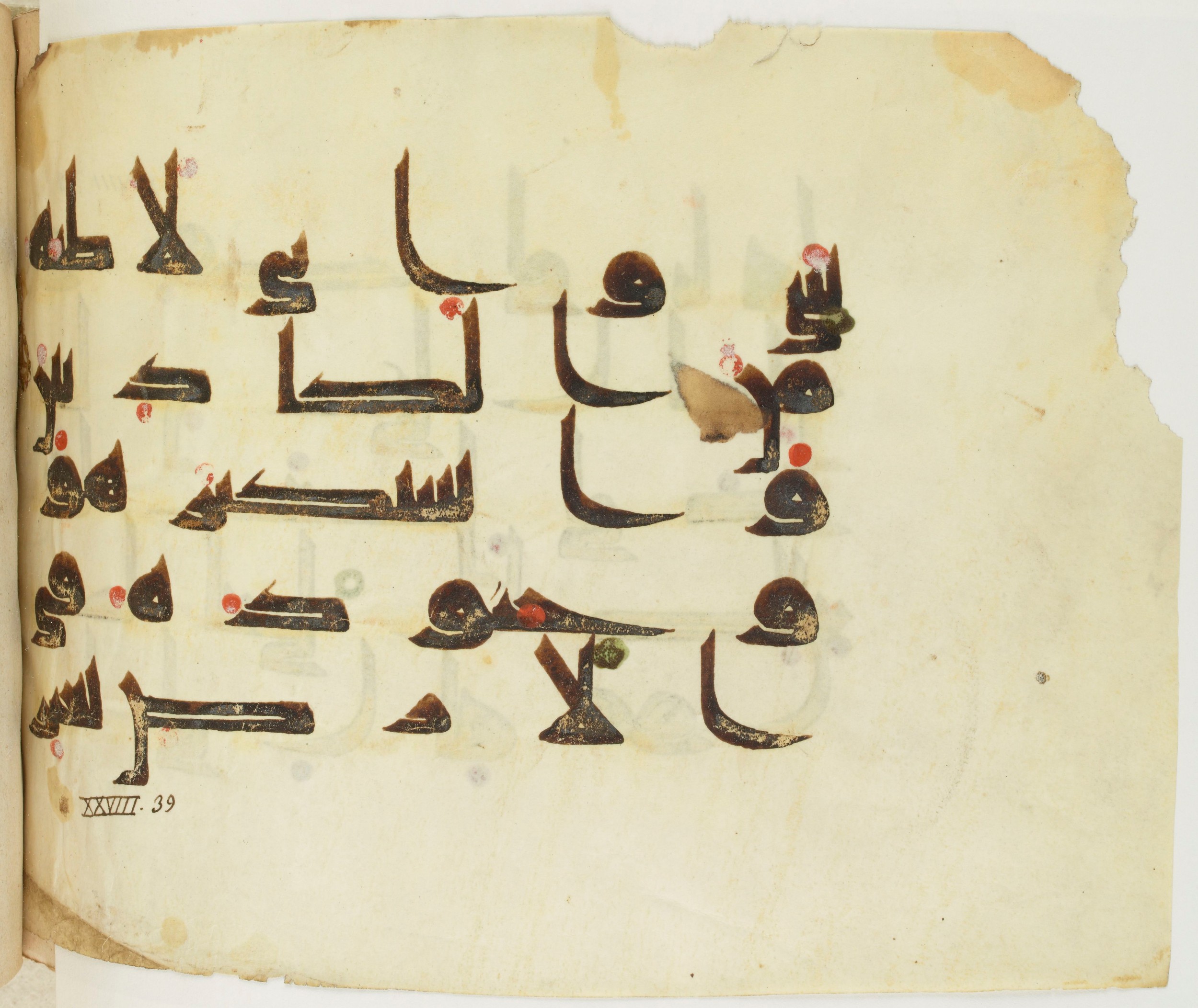 BNF Arabe 351, in Kufic D.III script, showing Surah 28:39 from Mid 8th to Late 10th Century AD found in Mosque of ʿAmr b. al-ʿĀṣ in Fusṭāṭ (Old Cairo), Egypt, currently housed at Bibliothèque nationale de France, Paris
