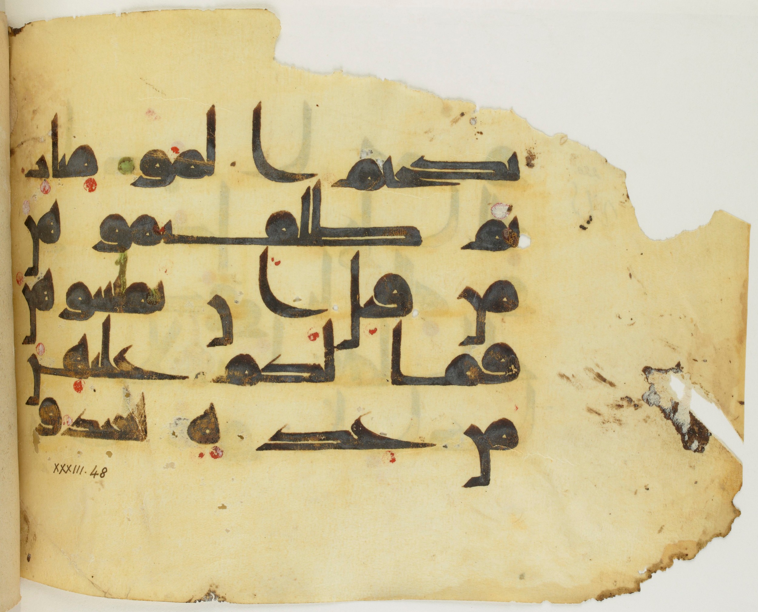 BNF Arabe 351 (Scan 2), in Kufic D.III script, showing Surah 33:49 from Mid 8th to Late 10th Century AD found in Mosque of ʿAmr b. al-ʿĀṣ in Fusṭāṭ (Old Cairo), Egypt, currently housed at Bibliothèque nationale de France, Paris