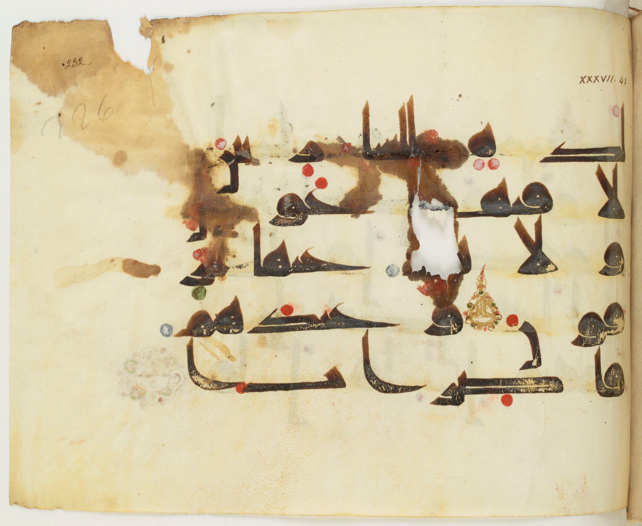 BNF Arabe 351 (Scan 1), in Kufic D.III script, showing Surah 37:48 from Mid 8th to Late 10th Century AD found in Mosque of ʿAmr b. al-ʿĀṣ in Fusṭāṭ (Old Cairo), Egypt, currently housed at Bibliothèque nationale de France, Paris