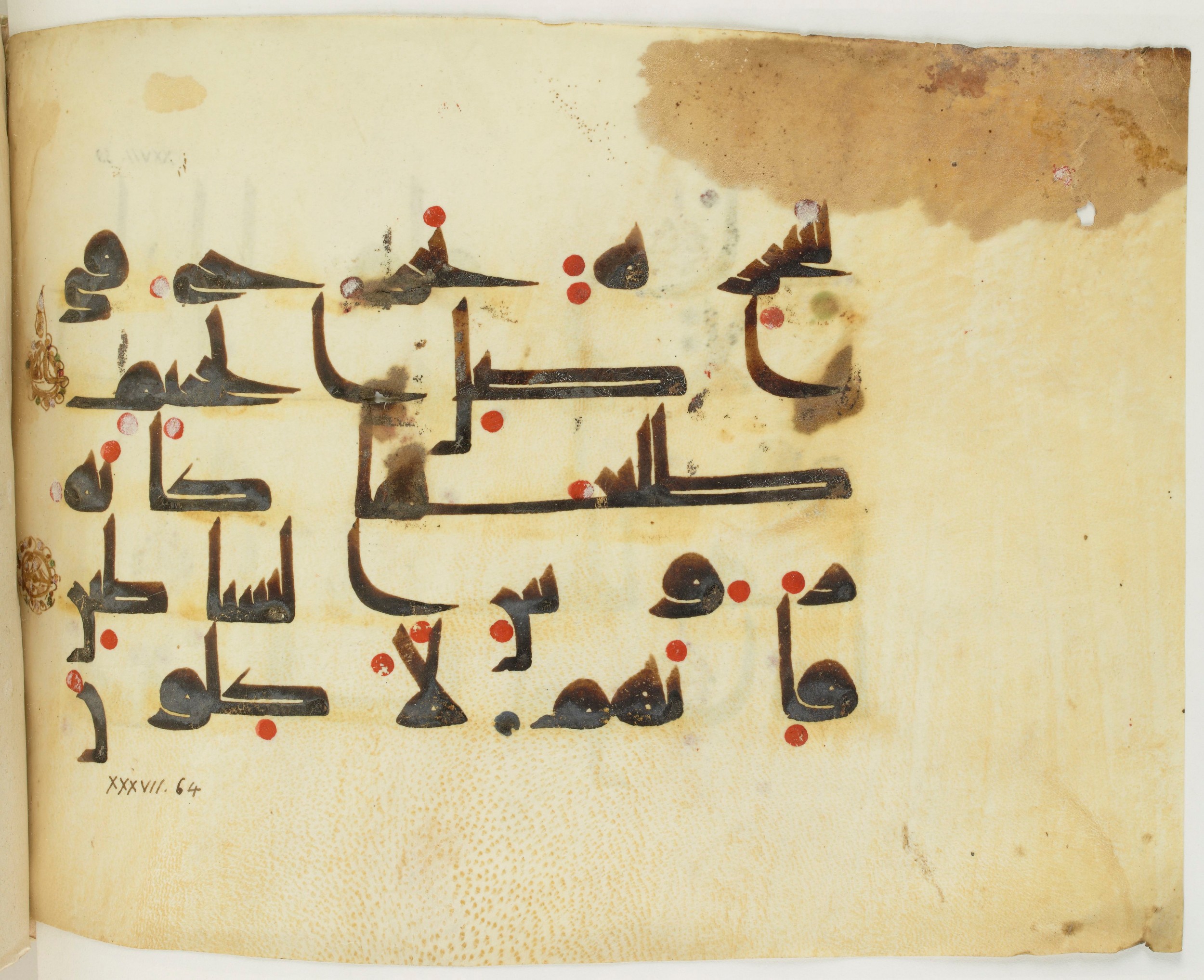 BNF Arabe 351, in Kufic D.III script, showing Surah 37:65 from Mid 8th to Late 10th Century AD found in Mosque of ʿAmr b. al-ʿĀṣ in Fusṭāṭ (Old Cairo), Egypt, currently housed at Bibliothèque nationale de France, Paris