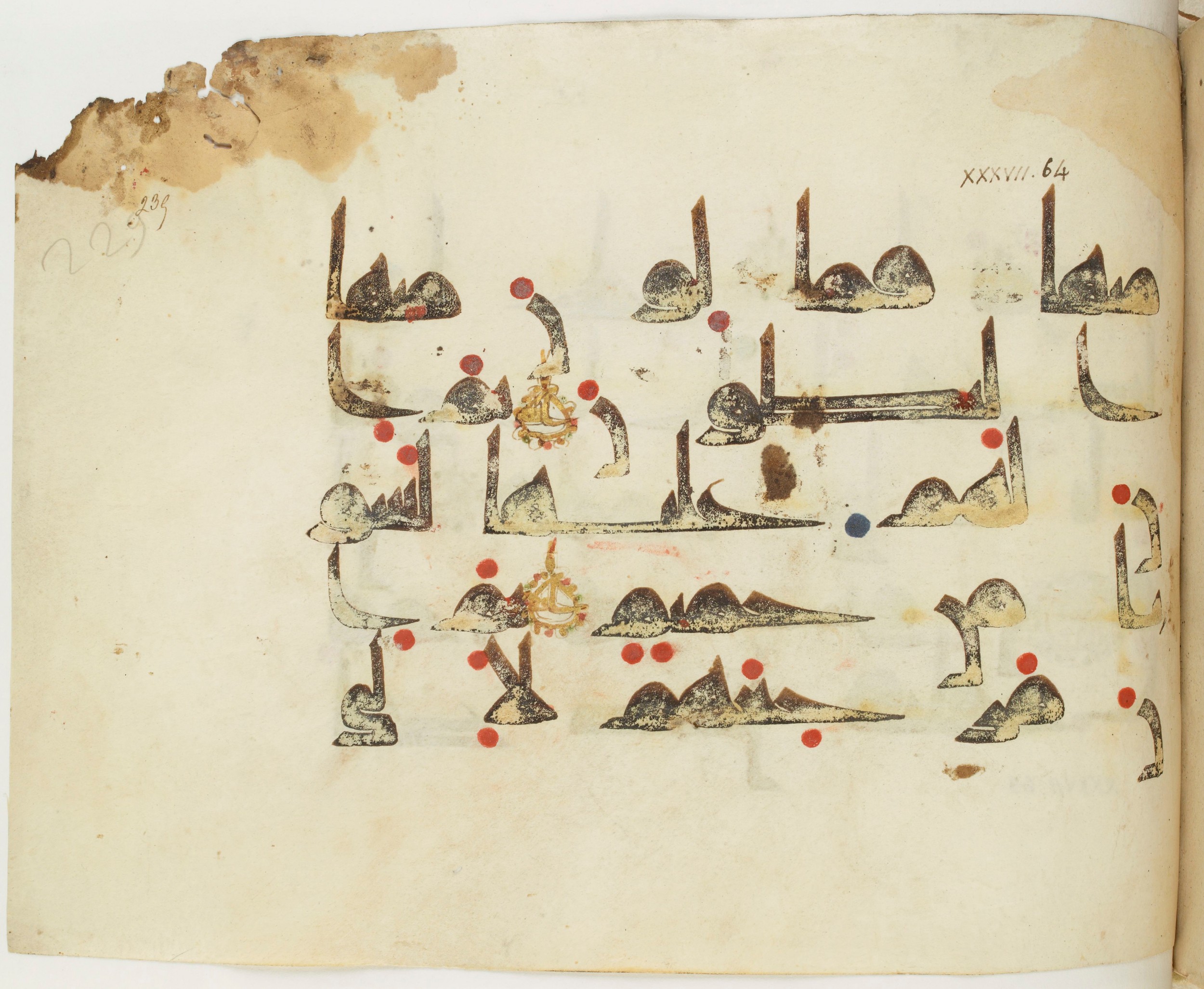 BNF Arabe 351, in Kufic D.III script, showing Surah 37:67 from Mid 8th to Late 10th Century AD found in Mosque of ʿAmr b. al-ʿĀṣ in Fusṭāṭ (Old Cairo), Egypt, currently housed at Bibliothèque nationale de France, Paris