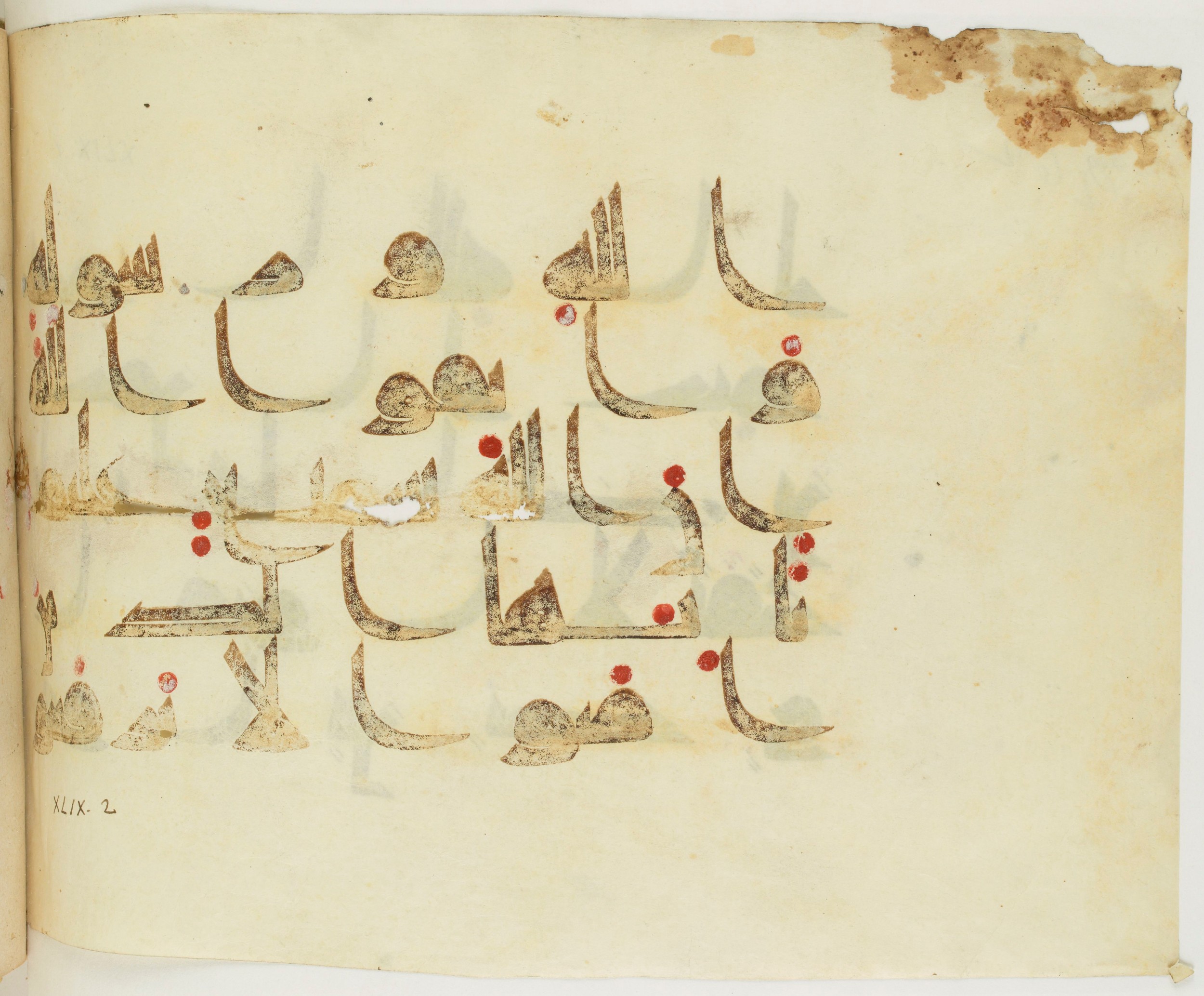 BNF Arabe 351, in Kufic D.III script, showing Surah 49:2 from Mid 8th to Late 10th Century AD found in Mosque of ʿAmr b. al-ʿĀṣ in Fusṭāṭ (Old Cairo), Egypt, currently housed at Bibliothèque nationale de France, Paris