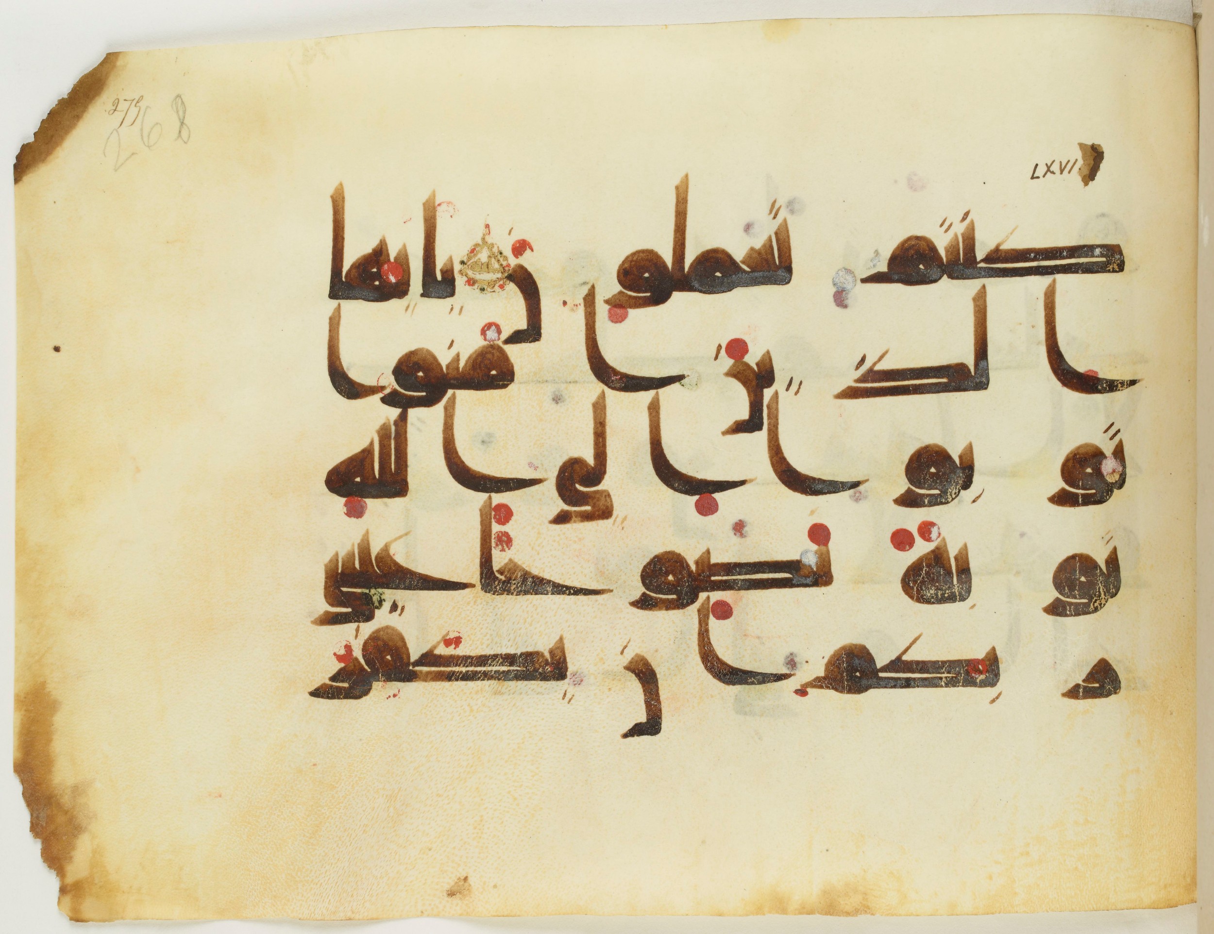 BNF Arabe 351 (Scan 2), in Kufic D.III script, showing Surah 66:7 from Mid 8th to Late 10th Century AD found in Mosque of ʿAmr b. al-ʿĀṣ in Fusṭāṭ (Old Cairo), Egypt, currently housed at Bibliothèque nationale de France, Paris