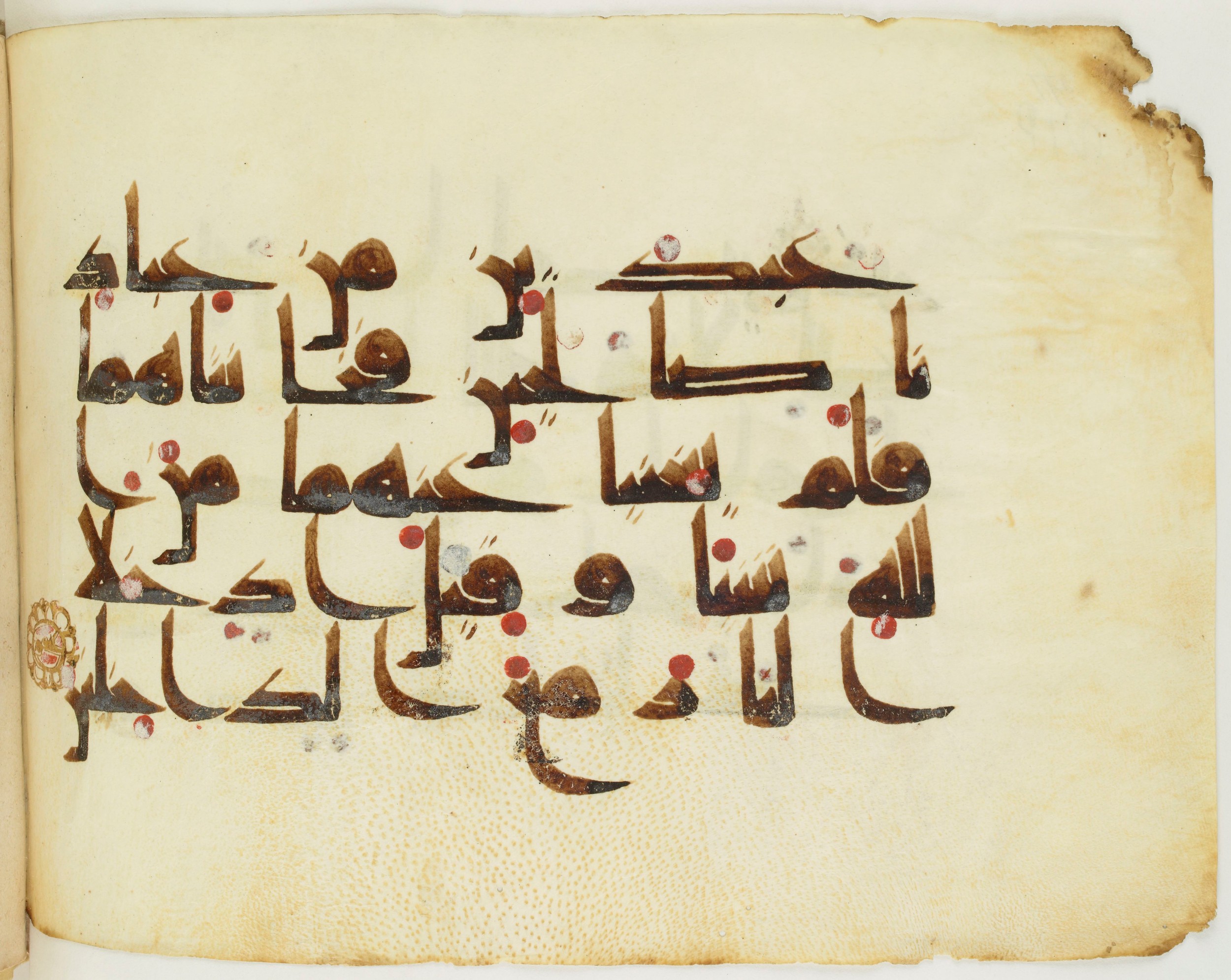 BNF Arabe 351 (Scan 2), in Kufic D.III script, showing Surah 66:10 from Mid 8th to Late 10th Century AD found in Mosque of ʿAmr b. al-ʿĀṣ in Fusṭāṭ (Old Cairo), Egypt, currently housed at Bibliothèque nationale de France, Paris
