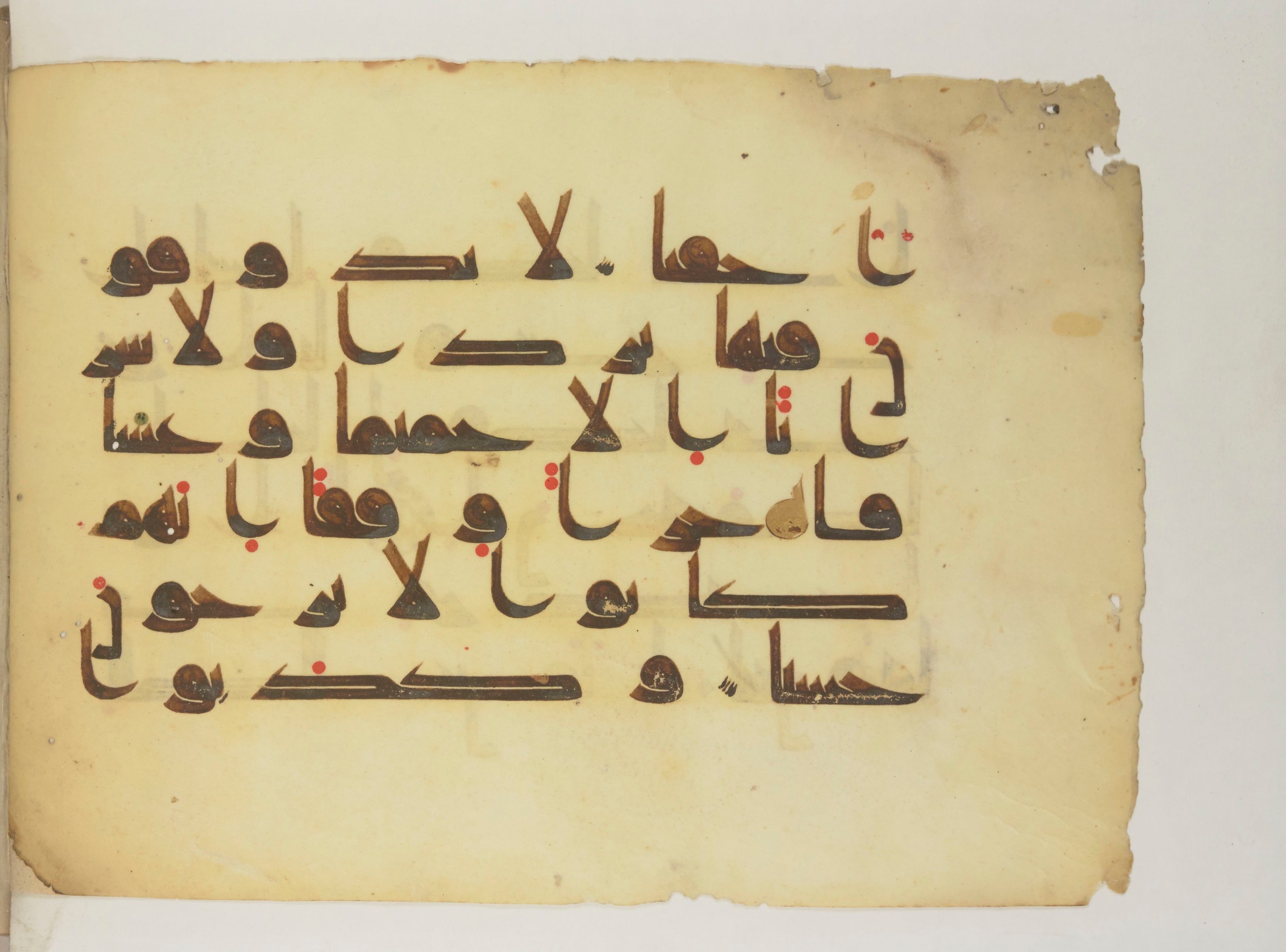Arabe 352 (c) (Scan 2), in Kūfī D.I script, showing Surah 78:23 from Mid-8th to 10th Century AD found in Fustat (Old Cairo), Egypt, currently housed at Bibliothèque nationale de France, Paris