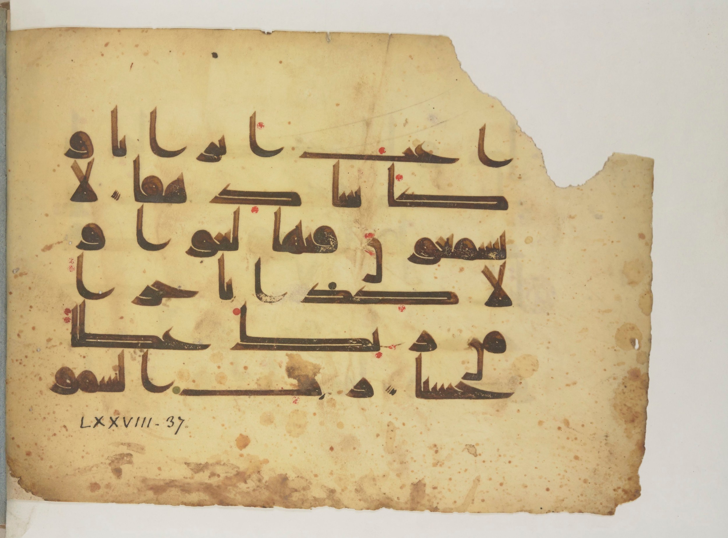 Arabe 352 (c), in Kūfī D.I script, showing Surah 78:35 from Mid-8th to 10th Century AD found in Fustat (Old Cairo), Egypt, currently housed at Bibliothèque nationale de France, Paris