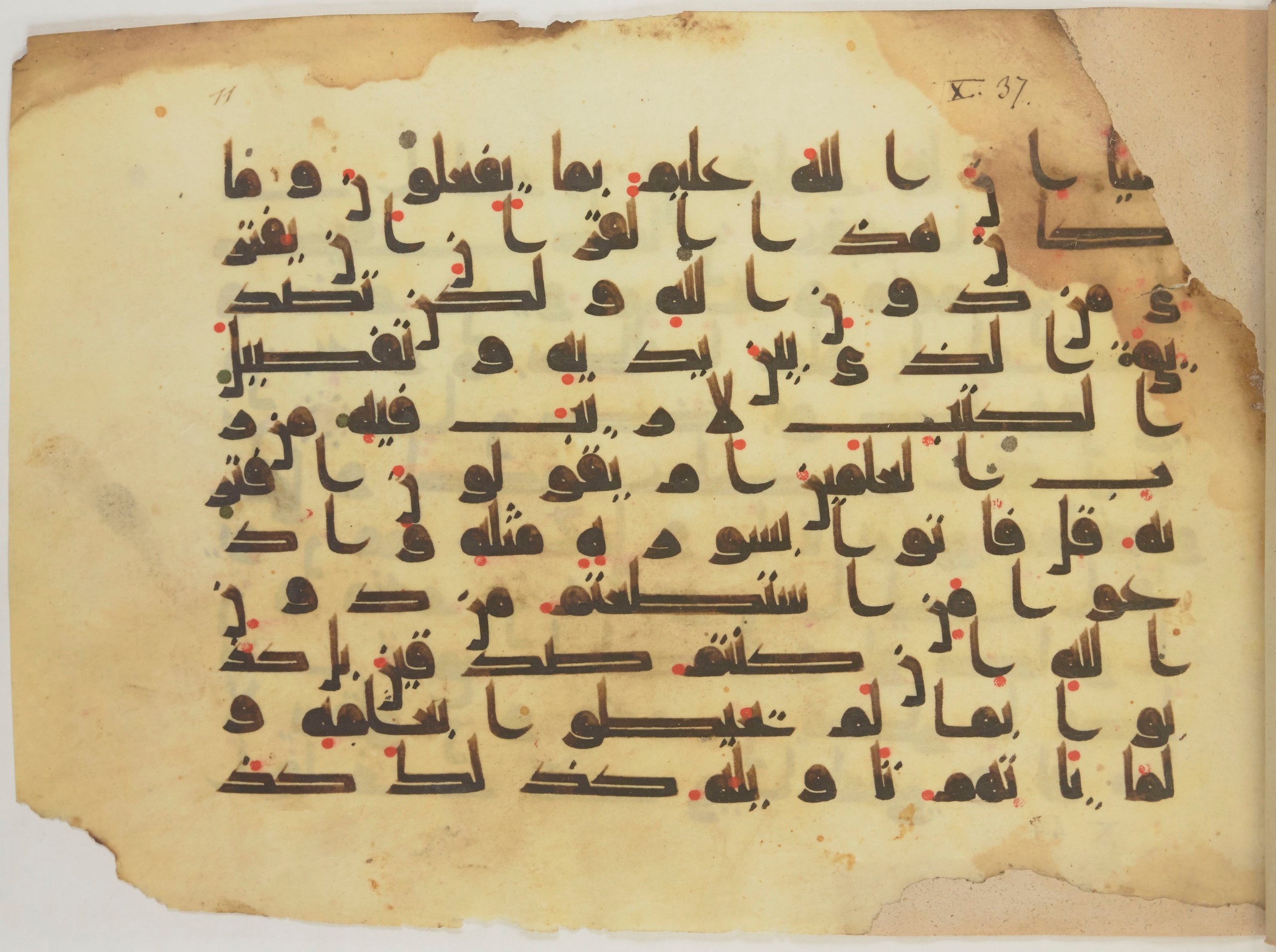 Paris, Bibliothèque nationale de France, Arabe 352 (e) (Scan 1), in kūfī D.I script, showing Surah 10:39 from Mid-8th to Late 10th Century AD found in Fustat (Old Cairo), Egypt, currently housed at Bibliothèque nationale de France, Paris