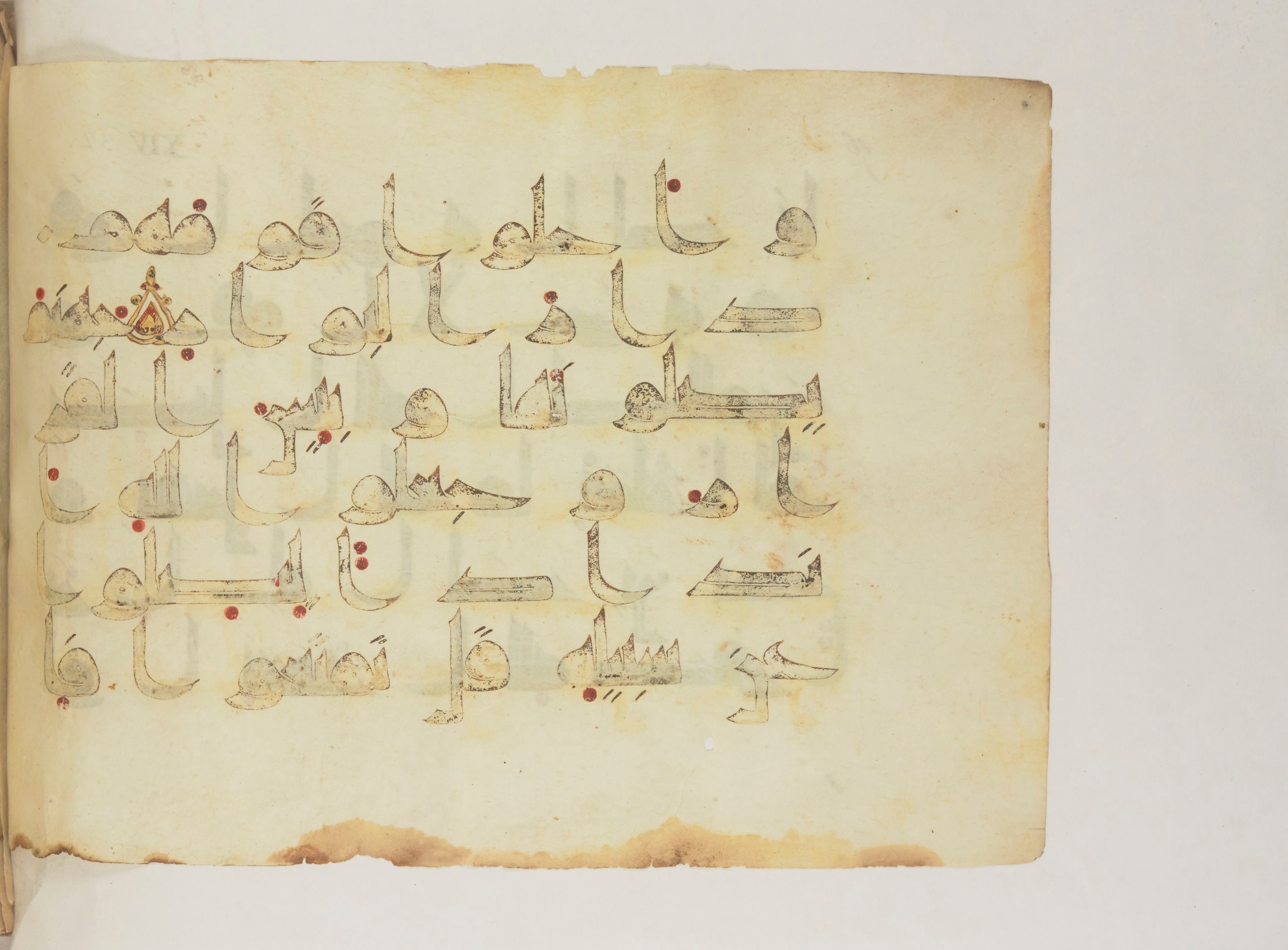 Paris, Bibliothèque nationale de France, Arabe 352 (g) (Scan 2), in Kufic D.I script, showing Surah 14:28 from Mid 8th to Late 10th Century AD found in Fustat (Old Cairo), Egypt, currently housed at Bibliothèque nationale de France, Paris
