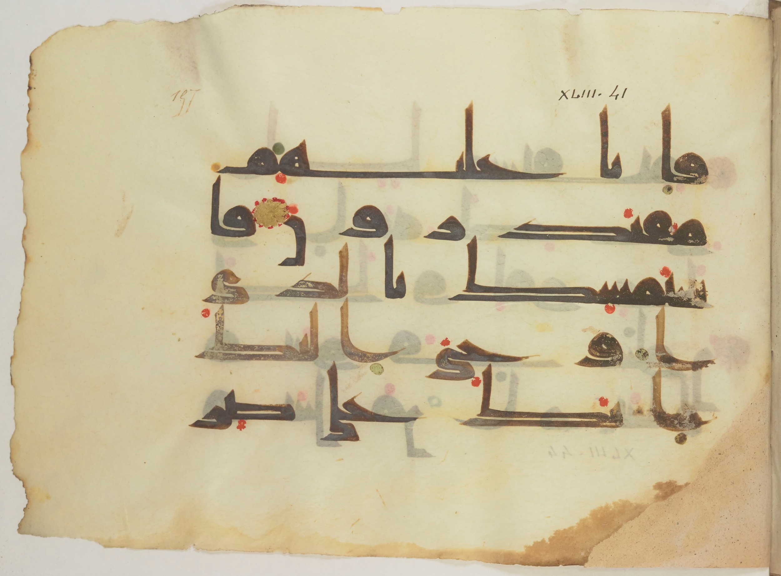 Paris, Bibliothèque nationale de France, Arabe 352 (h) (Scan 1), in kūfī D.I / D.III script, showing Surah 43:43 from Mid-8th to Late 10th Century AD found in Fustat (Old Cairo), Egypt, currently housed at Bibliothèque nationale de France, Paris