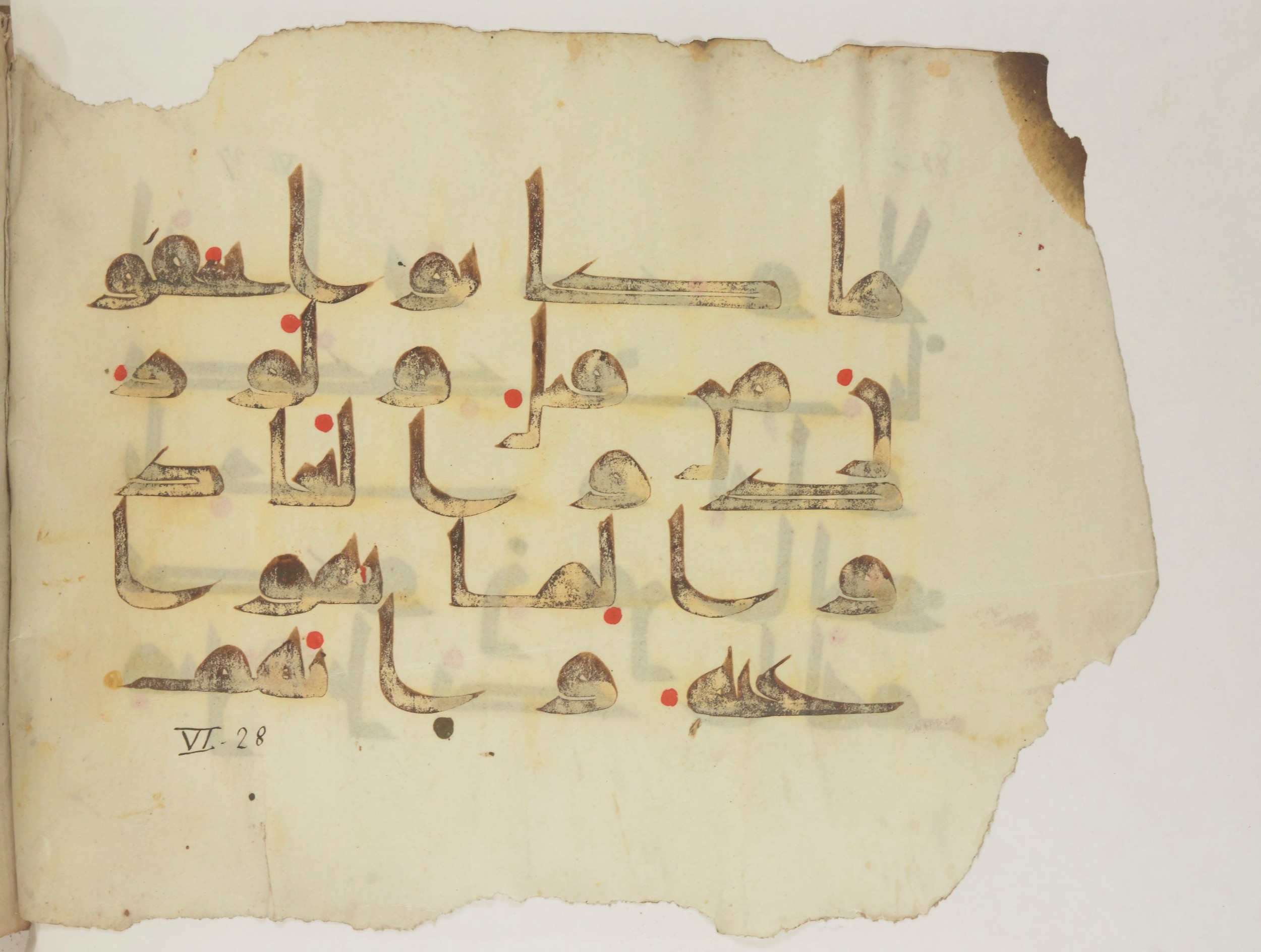 Paris, Bibliothèque nationale de France, Arabe 352 (h) (Scan 2), in kūfī D.I / D.III script, showing Surah 6:28 from Mid-8th to Late 10th Century AD found in Fustat (Old Cairo), Egypt, currently housed at Bibliothèque nationale de France, Paris
