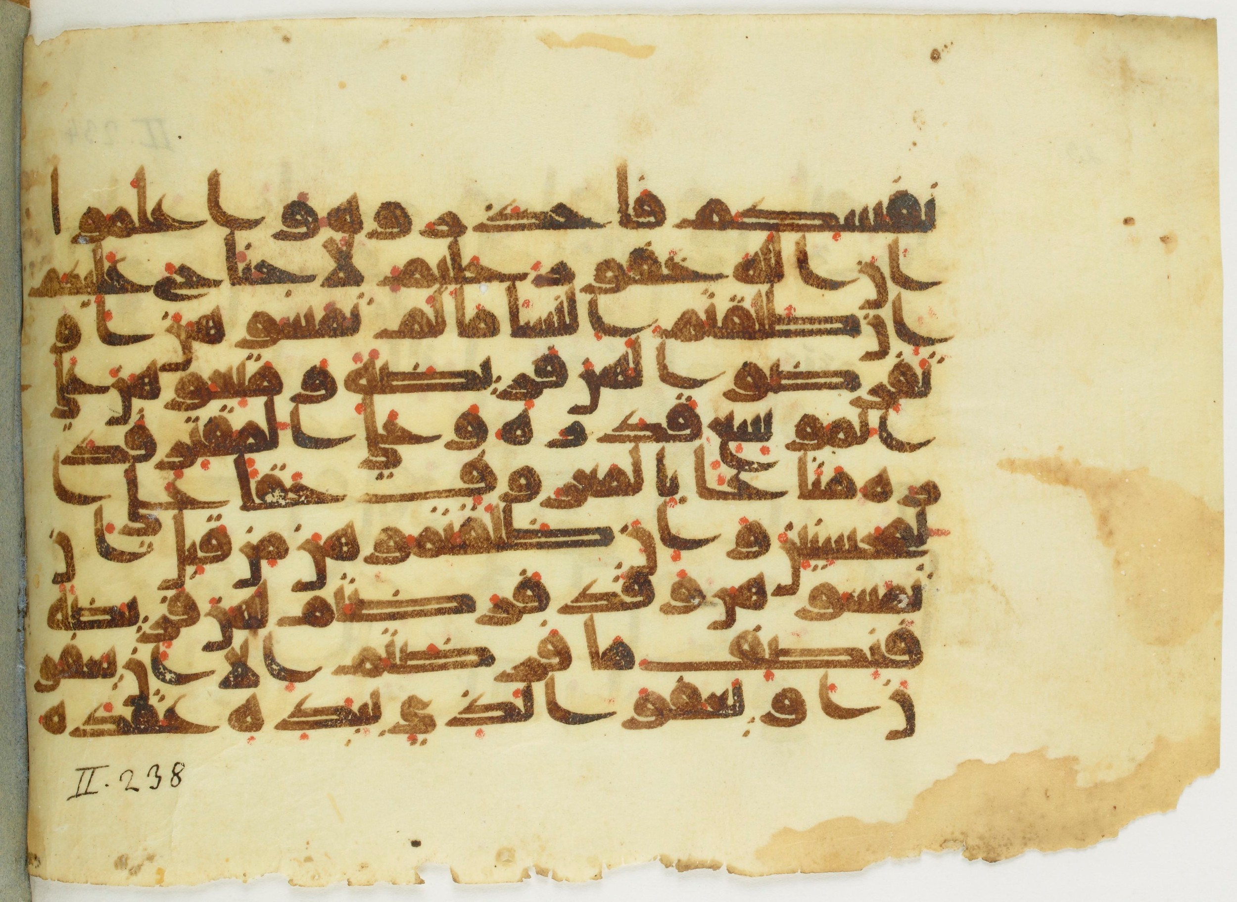 Paris, Bibliothèque nationale de France, Arabe 353 (b), in Kufic Group D script, showing Surah 2:237 from Mid-8th to Late 10th Century AD found in al-Fusṭāṭ, Egypt, currently housed at Bibliothèque nationale de France, Paris