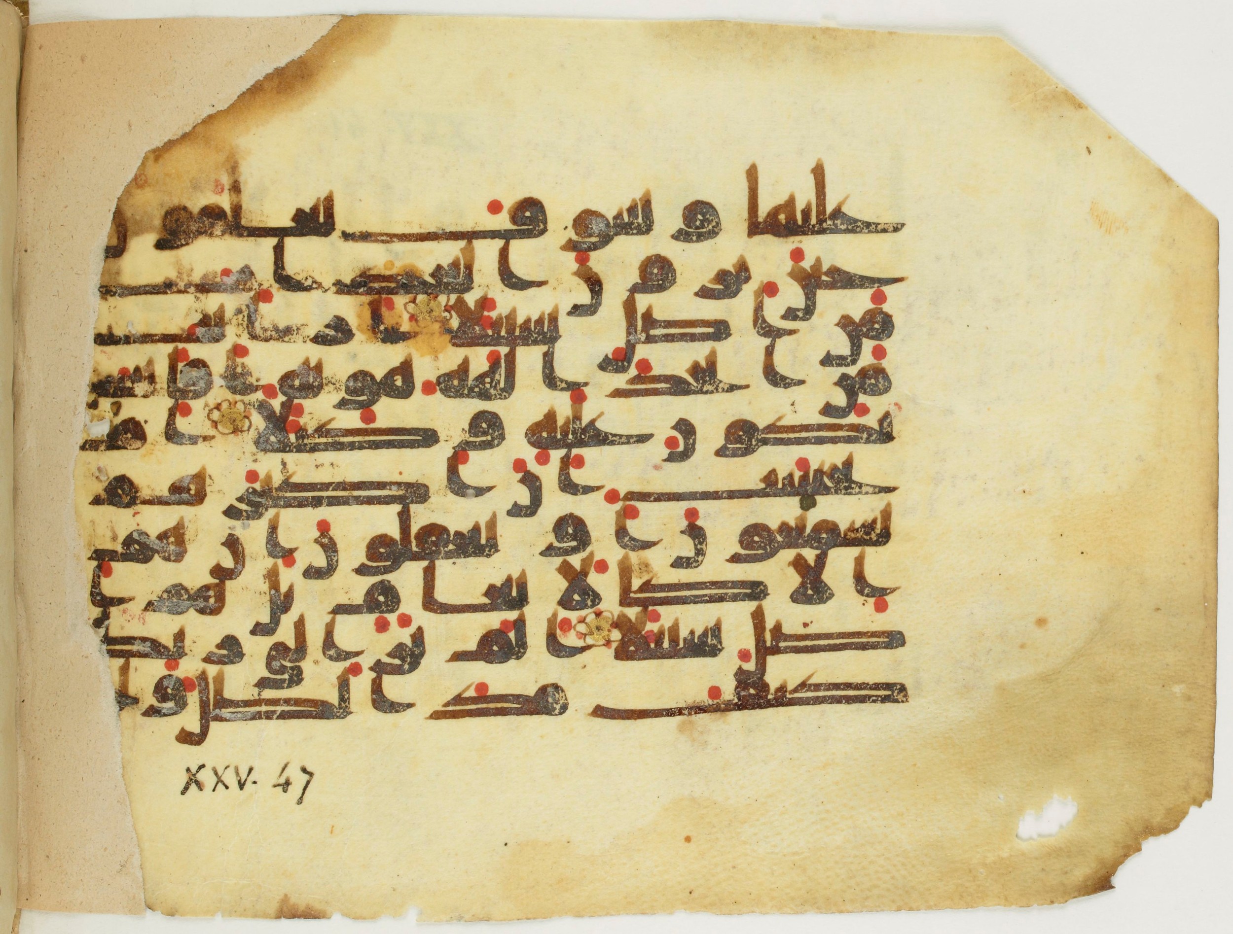 Paris, Bibliothèque nationale de France, Arabe 353 (c), in Kufic (Group D) script, showing Surah 25:45 from Mid 8th to Late 10th Century AD found in Fustat (Old Cairo), Egypt, currently housed at Bibliothèque nationale de France, Paris