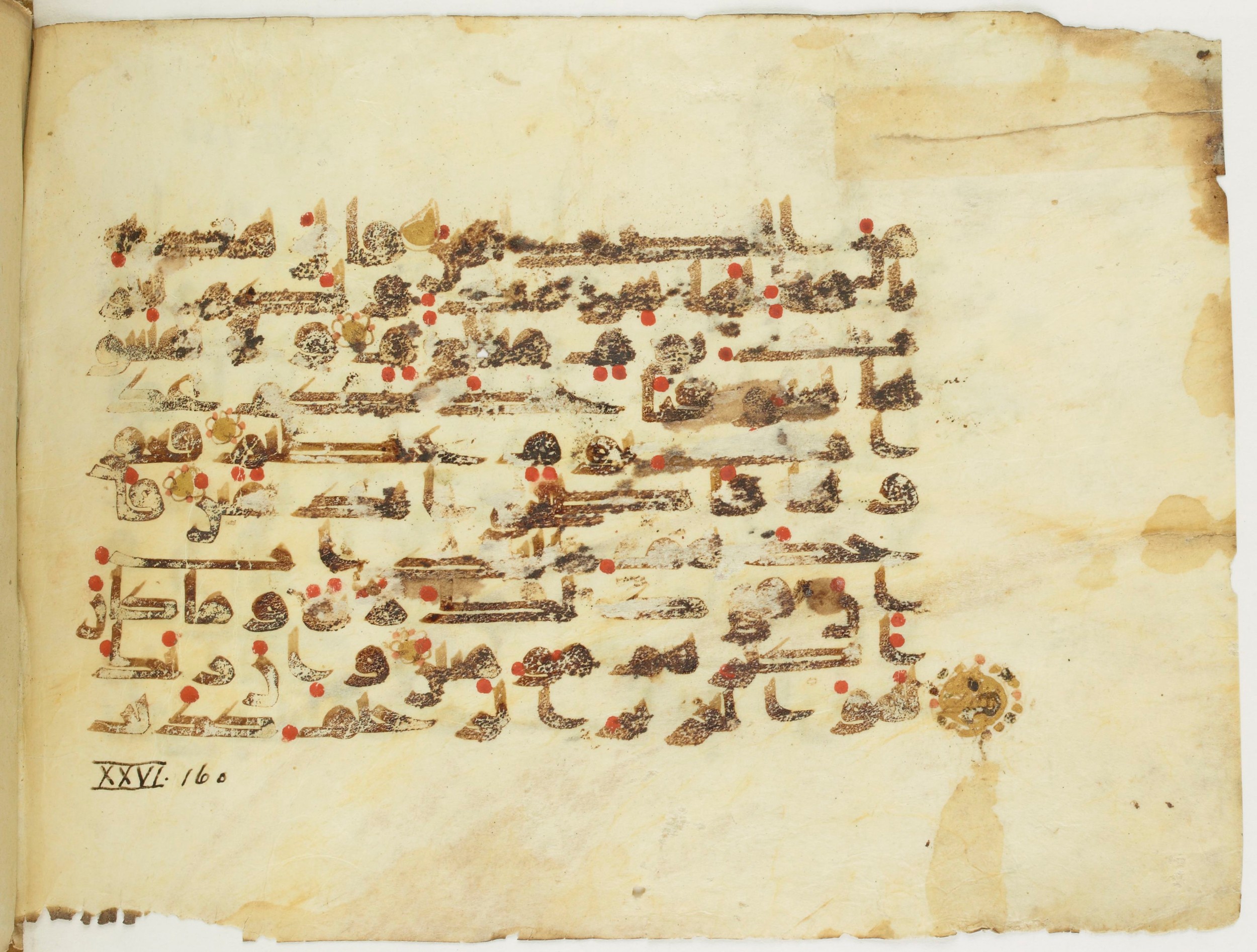 Paris, Bibliothèque nationale de France, Arabe 353 (c), in Kufic (Group D) script, showing Surah 26:155 from Mid 8th to Late 10th Century AD found in Fustat (Old Cairo), Egypt, currently housed at Bibliothèque nationale de France, Paris
