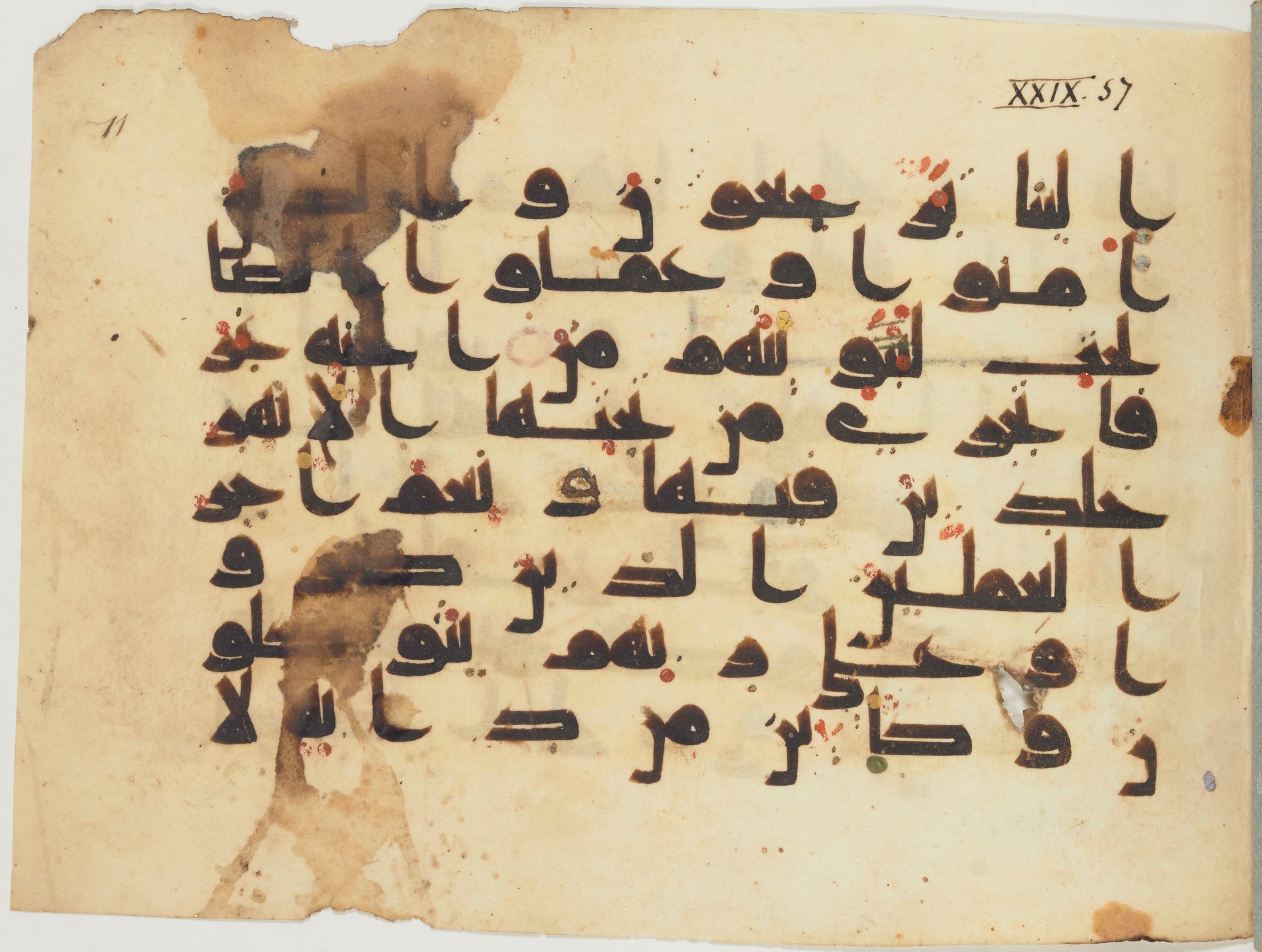 Paris, Bibliothèque nationale de France, Arabe 354 (b) (Scan 1), in Kufic D.I script, showing Surah 29:60 from Mid 8th to Late 10th Century AD found in al-Fusṭāṭ (Old Cairo), Egypt, currently housed at Bibliothèque nationale de France, Paris