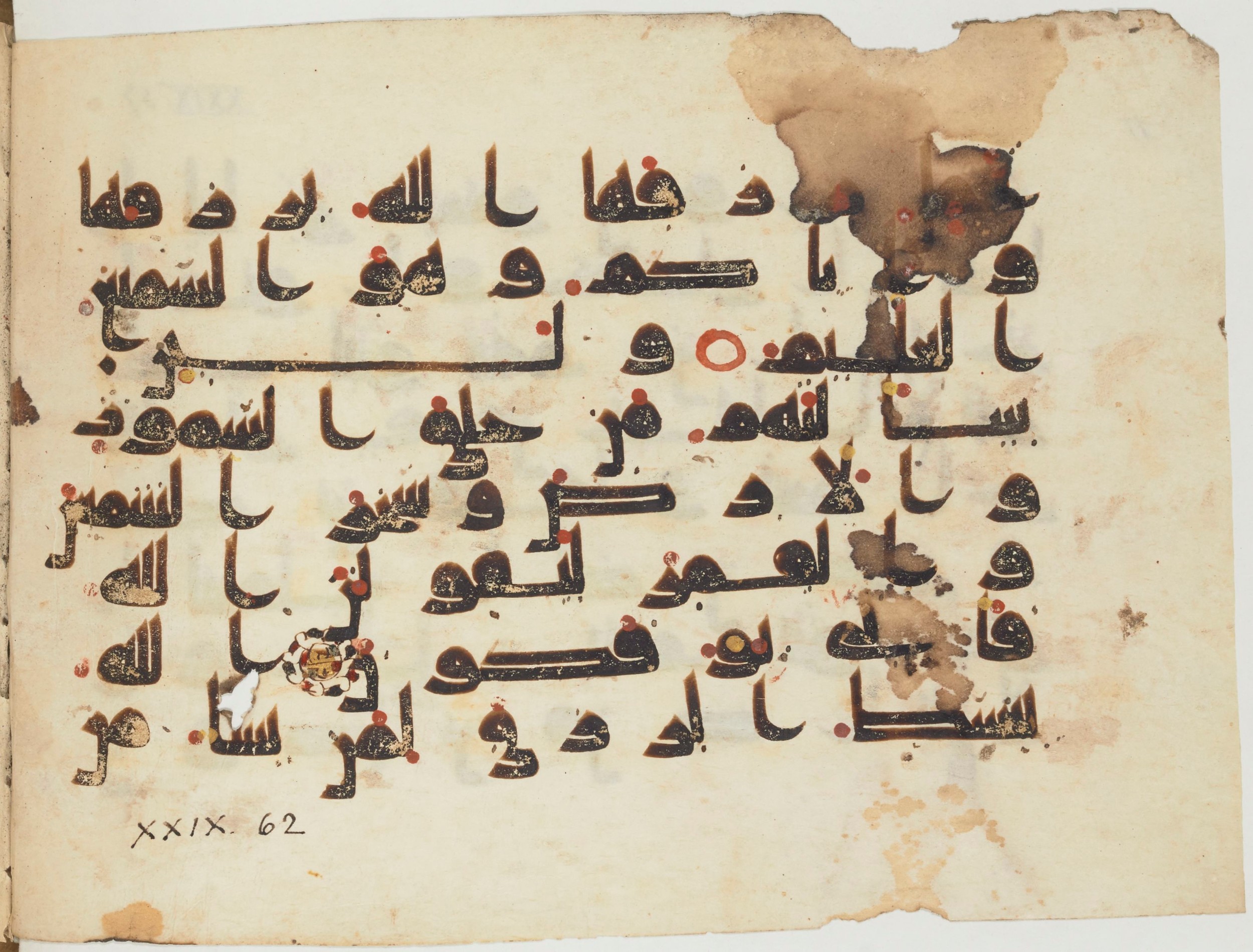 Paris, Bibliothèque nationale de France, Arabe 354 (b) (Scan 2), in Kufic D.I script, showing Surah 29:60 from Mid 8th to Late 10th Century AD found in al-Fusṭāṭ (Old Cairo), Egypt, currently housed at Bibliothèque nationale de France, Paris