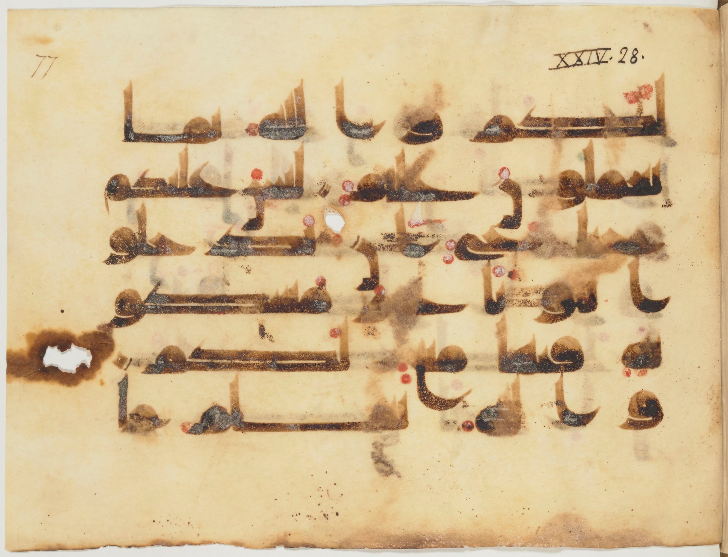 Paris, Bibliothèque nationale de France, Arabe 354 (e) (Scan 1), in kūfī D.I script, showing Surah 24:29 from Mid 8th to Late 10th Century AD found in al-Fusṭāṭ (Old Cairo), Egypt, currently housed at Bibliothèque nationale de France, Paris