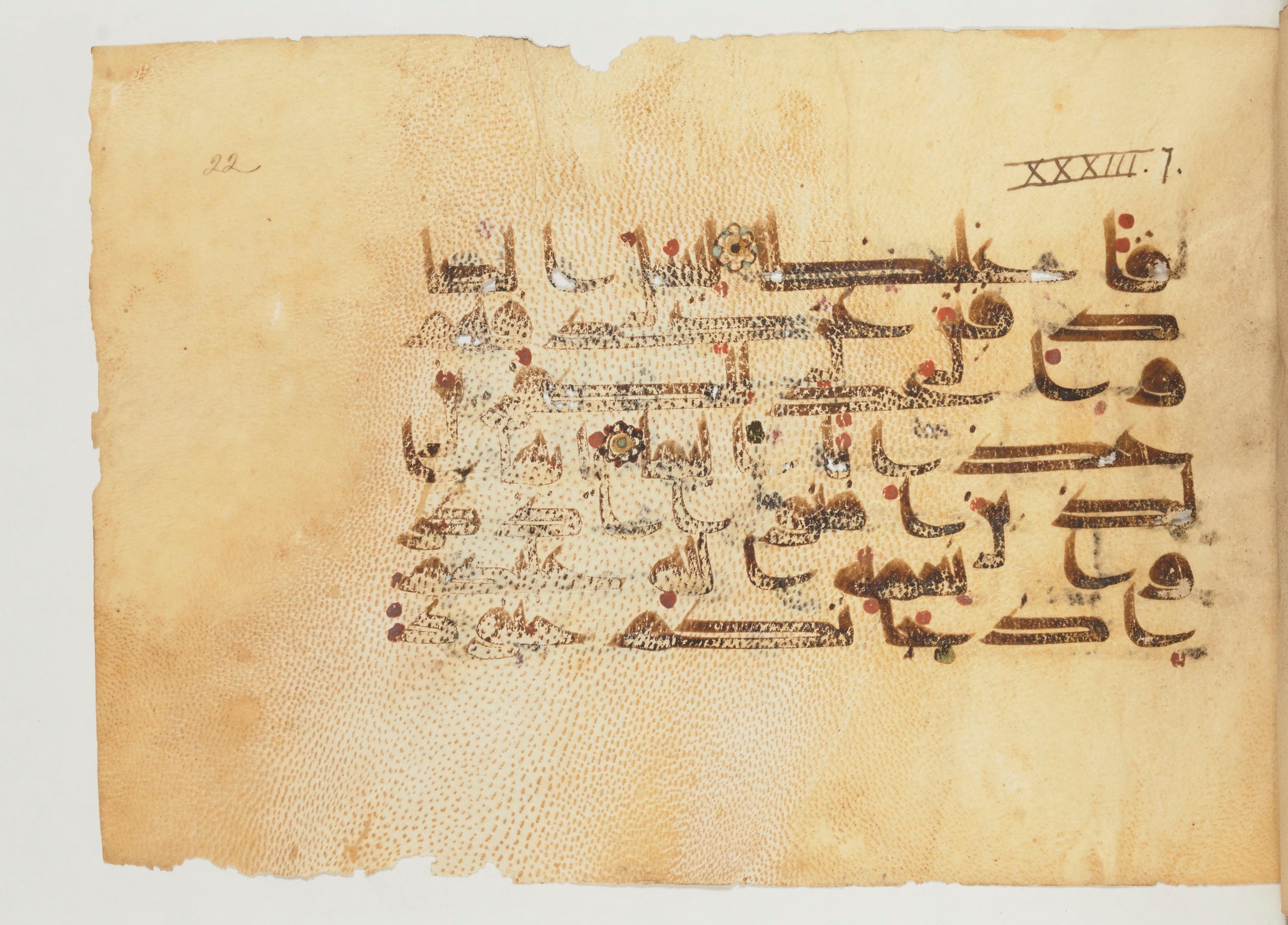 Paris, Bibliothèque nationale de France, Arabe 355 (a) (Scan 2), in D I / D III script, showing Surah 33:7 from Mid-8th to 10th Century AD found in Fustat (Old Cairo), Egypt, currently housed at Bibliothèque nationale de France, Paris