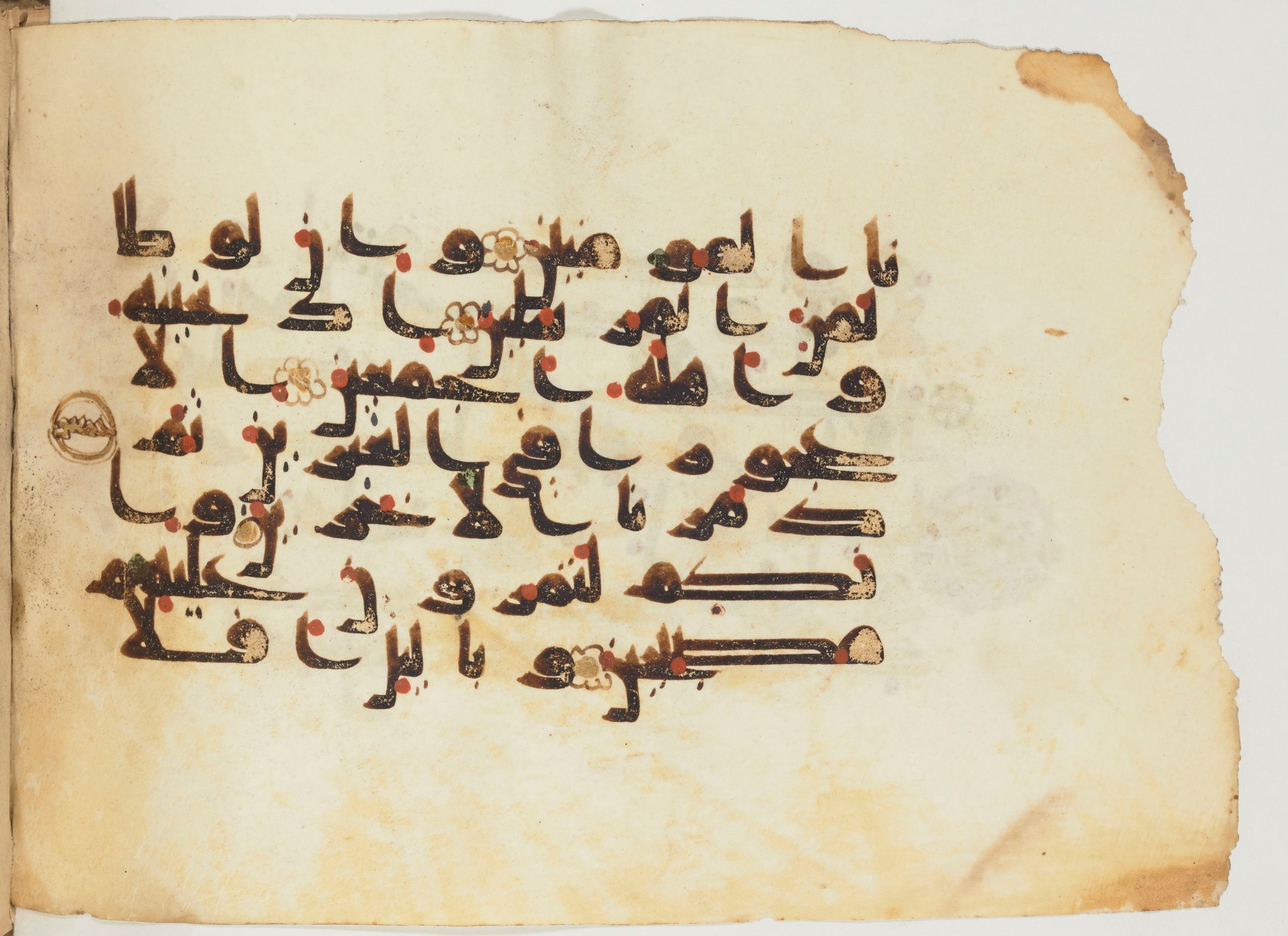 Paris, Bibliothèque nationale de France, Arabe 355 (a), in D I / D III script, showing Surah 37:136 from Mid-8th to 10th Century AD found in Fustat (Old Cairo), Egypt, currently housed at Bibliothèque nationale de France, Paris