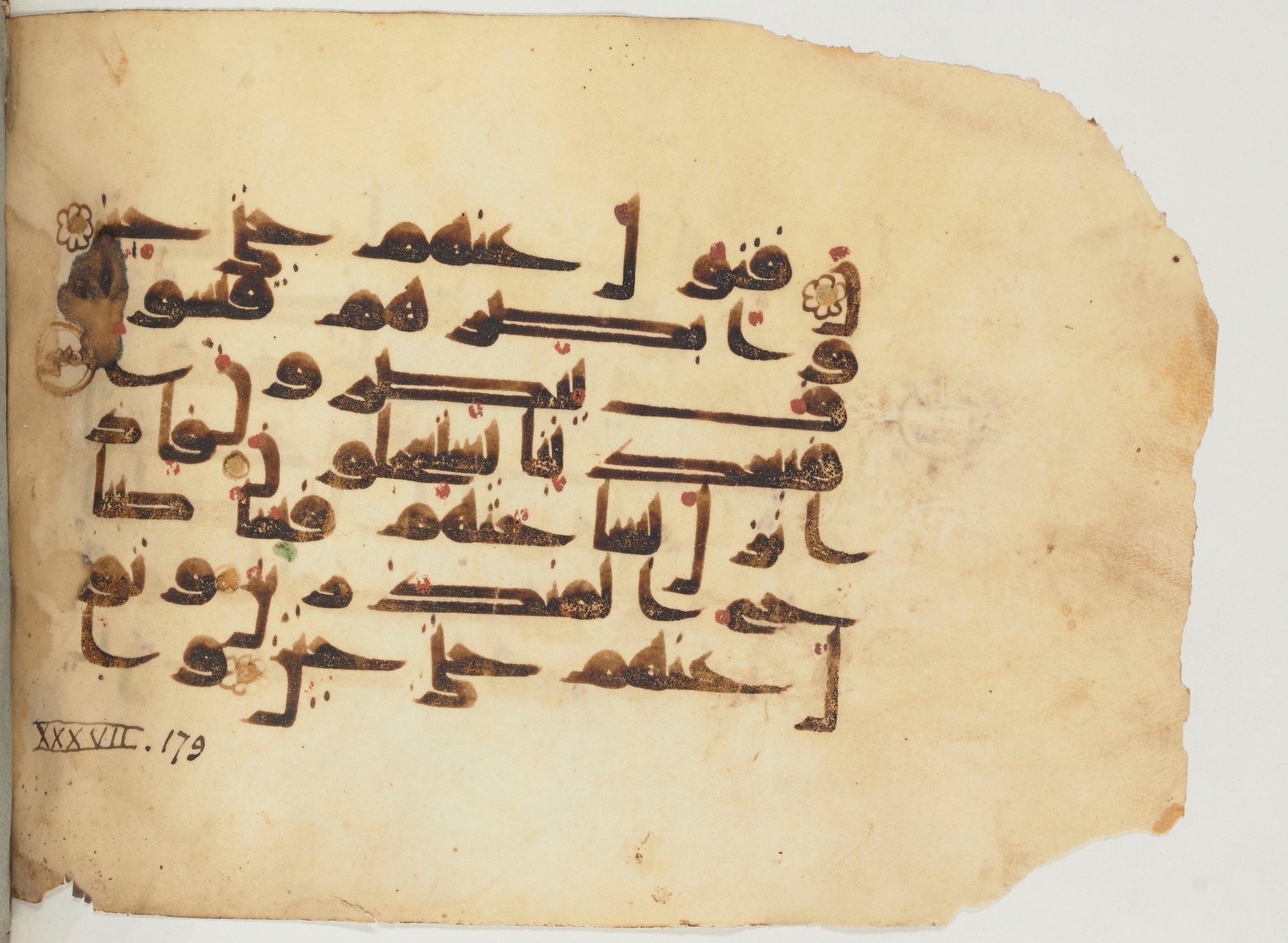 Paris, Bibliothèque nationale de France, Arabe 355 (a), in D I / D III script, showing Surah 37:175 from Mid-8th to 10th Century AD found in Fustat (Old Cairo), Egypt, currently housed at Bibliothèque nationale de France, Paris