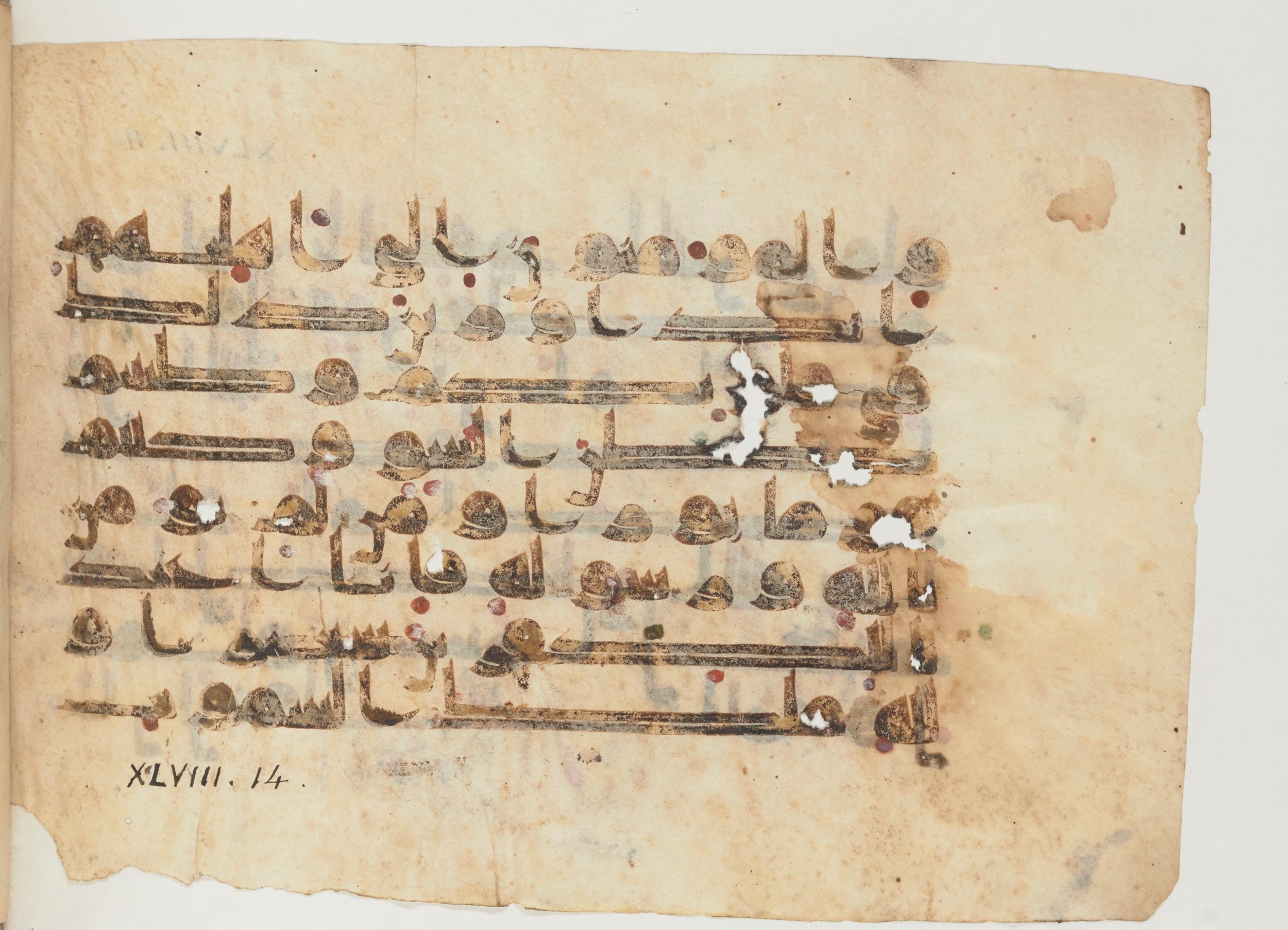 Paris, Bibliothèque nationale de France, Arabe 355 (b) (Scan 2), in Kūfī D.I script, showing Surah 48:12 from Mid 8th to Late 10th Century AD found in Fustat (Old Cairo), Egypt, currently housed at Bibliothèque nationale de France, Paris